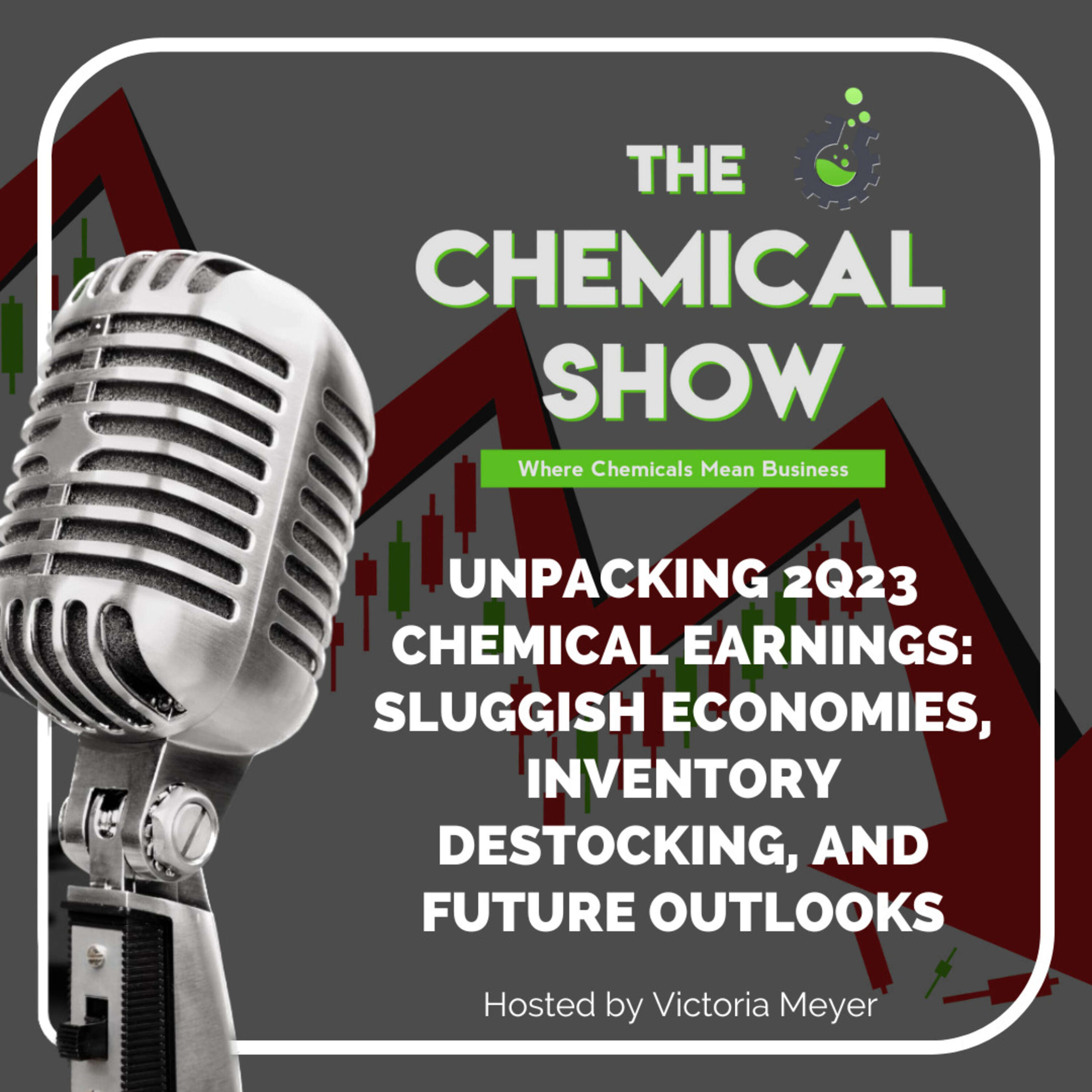 Ep 118 - Reflections on 2Q23 Earnings Reports