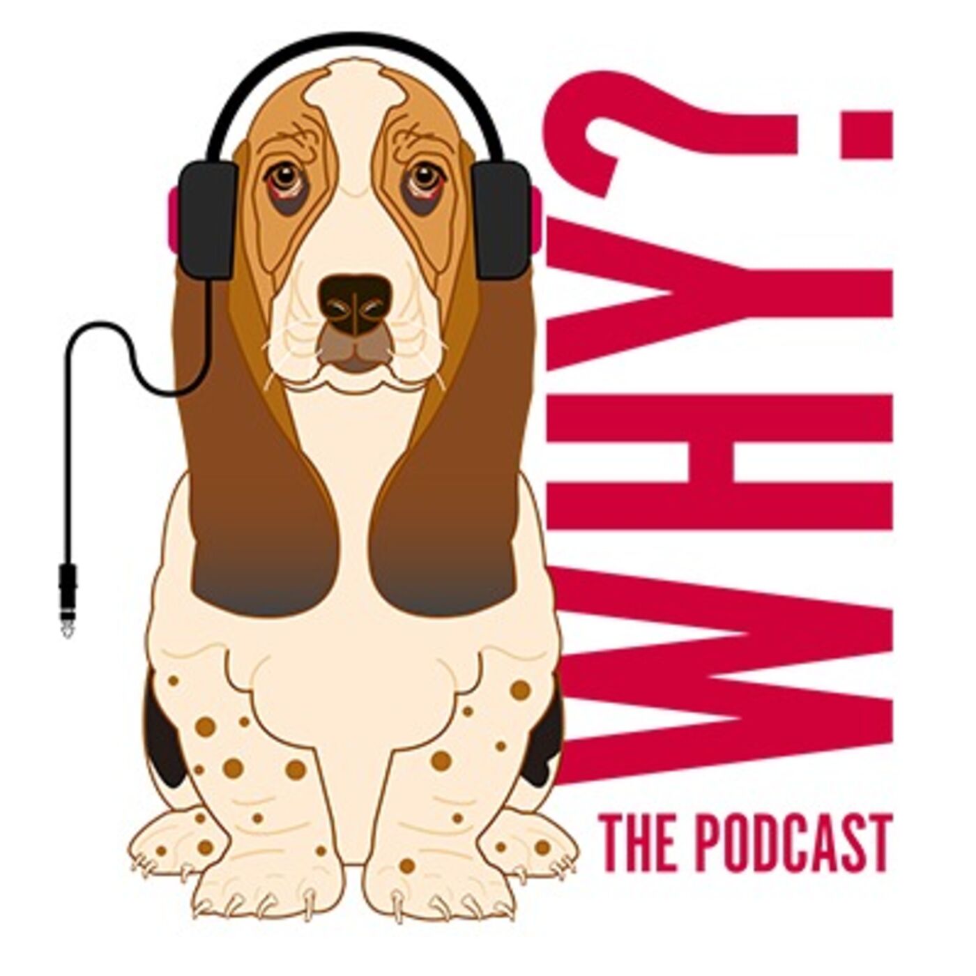 Why? The Podcast 