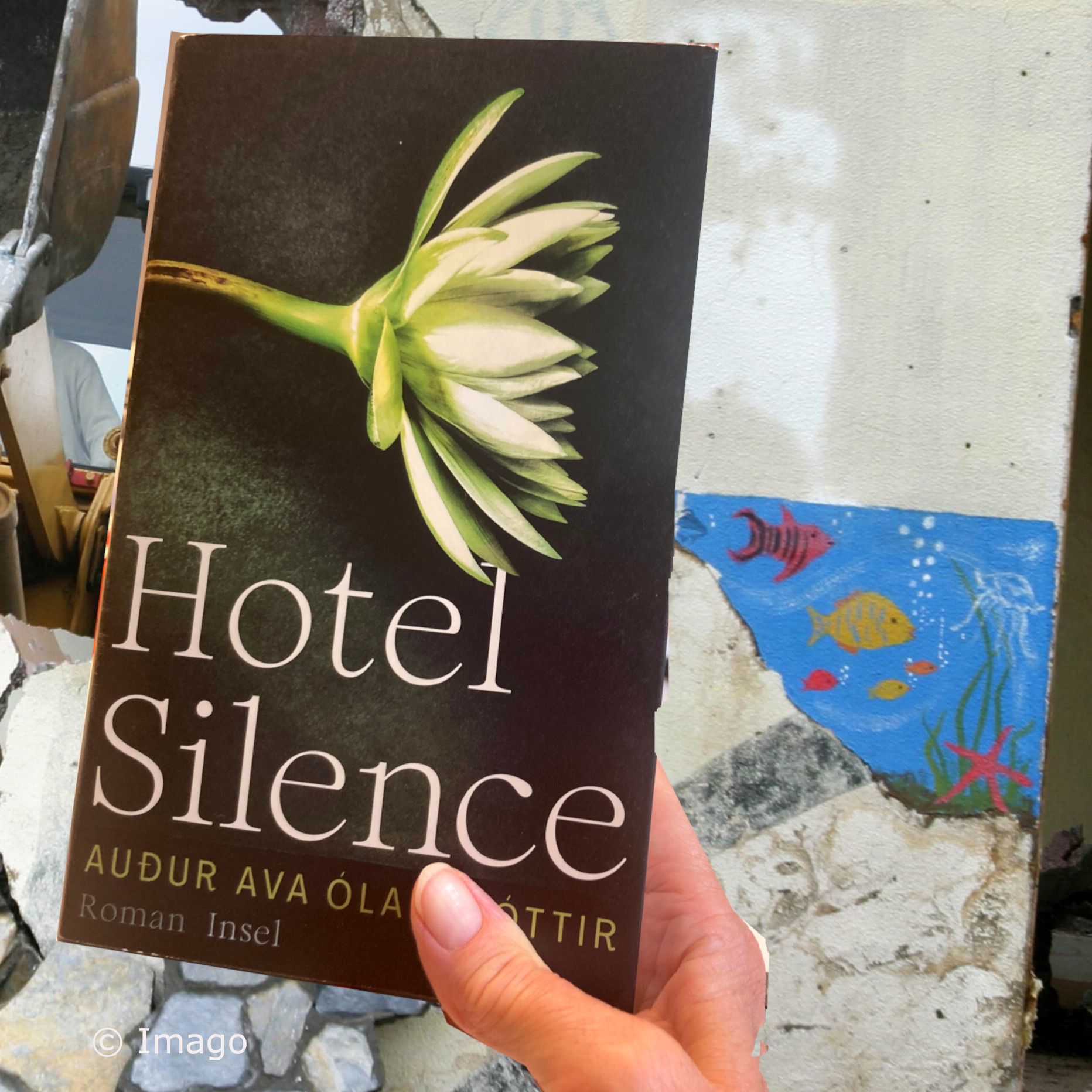 Audur Ava Olafsdottir: Hotel Silence