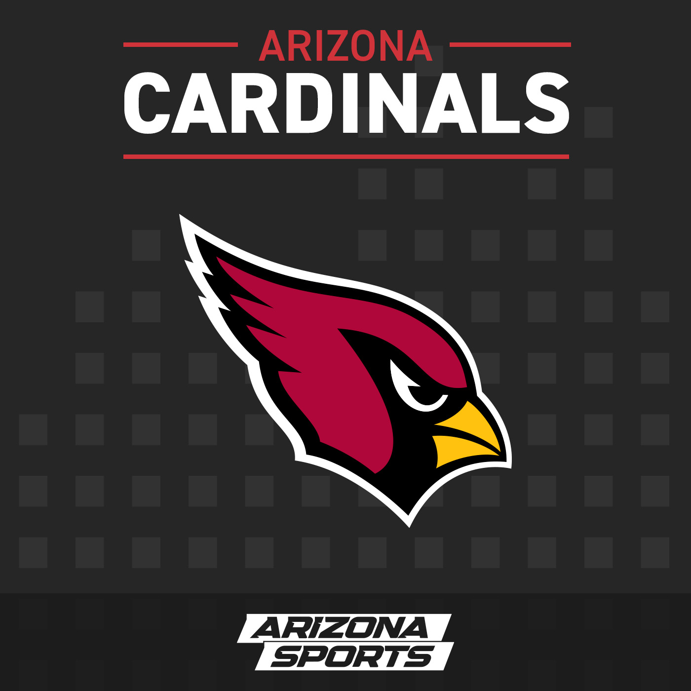 Tyler Drake, Arizona Sports Cardinals lead writer