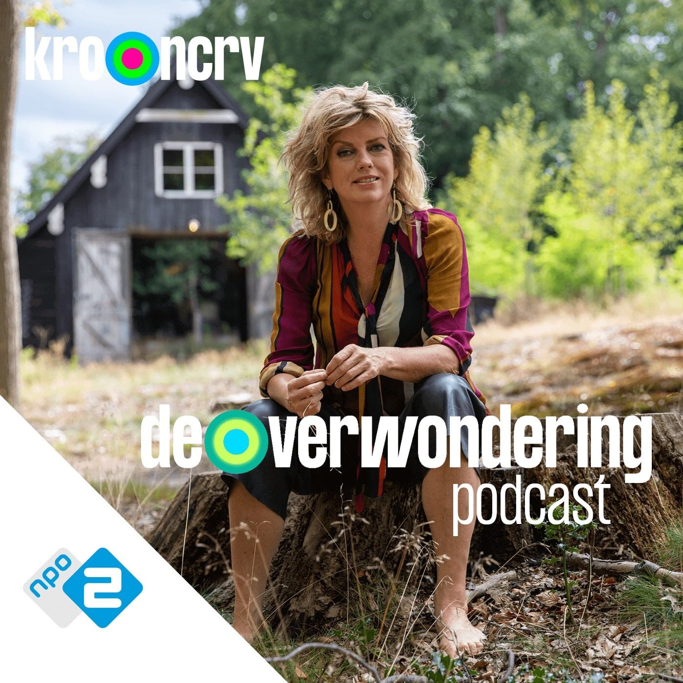 De Verwondering Podcast 