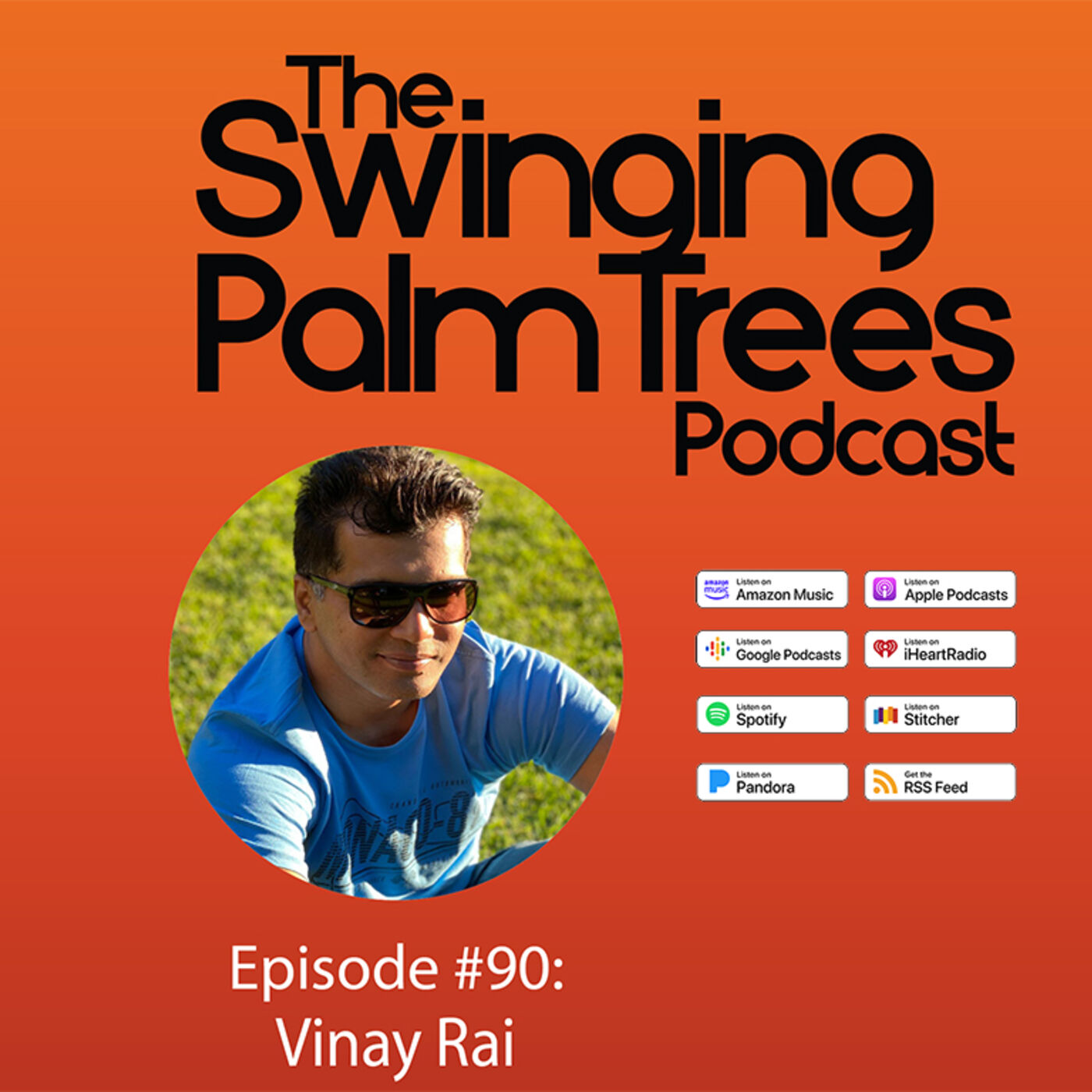 Episode #90 with Vinay Rai