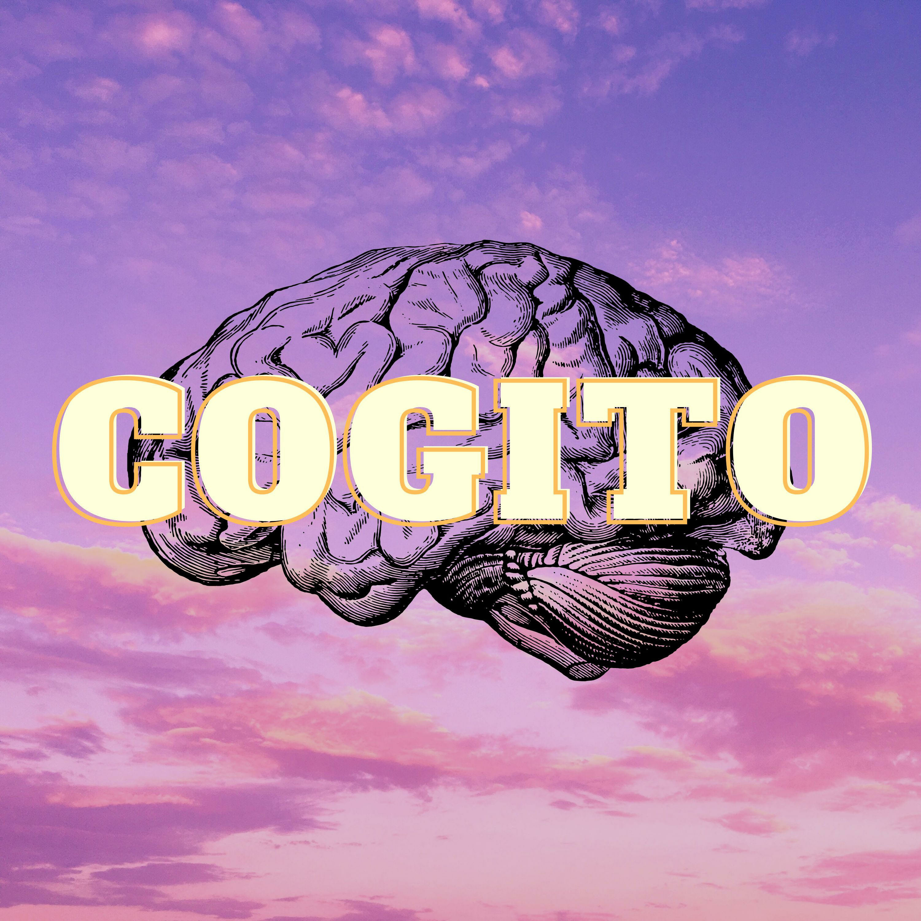 Cogito 