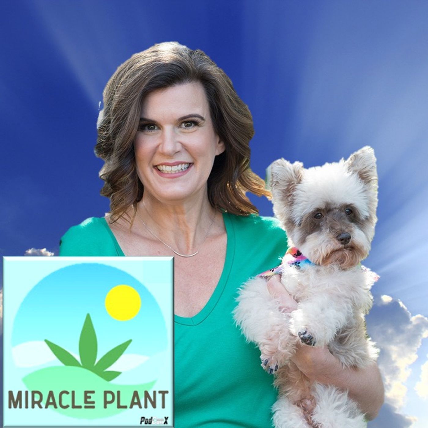 How Hemp & Mushrooms Help Beat Cancer In Dogs (& Their Owners) with Angela Ardolino