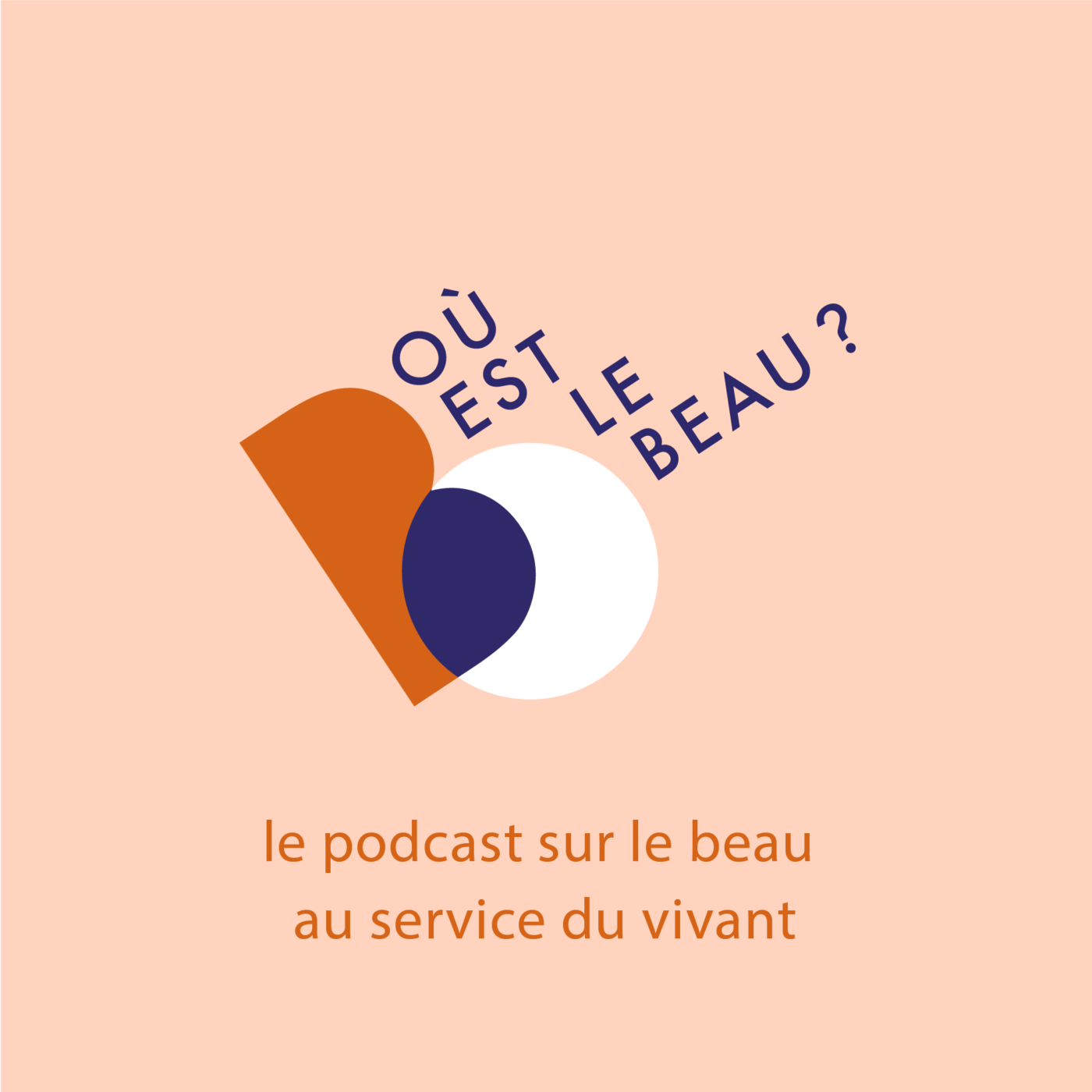 Où est le beau ? 