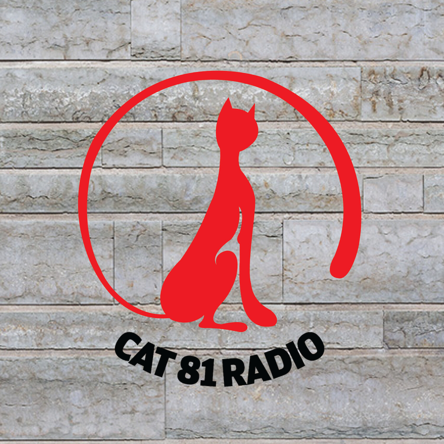 Cat 81 Radio 