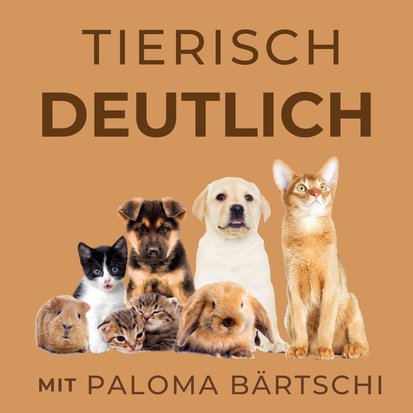 ⁣Futterzauber: Dein tierischer Begleiter und sein Menü