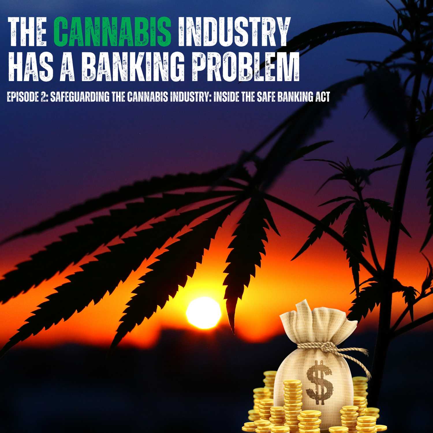 ⁣Episode 2: Safeguarding the Cannabis Industry: Inside the SAFE Banking Act