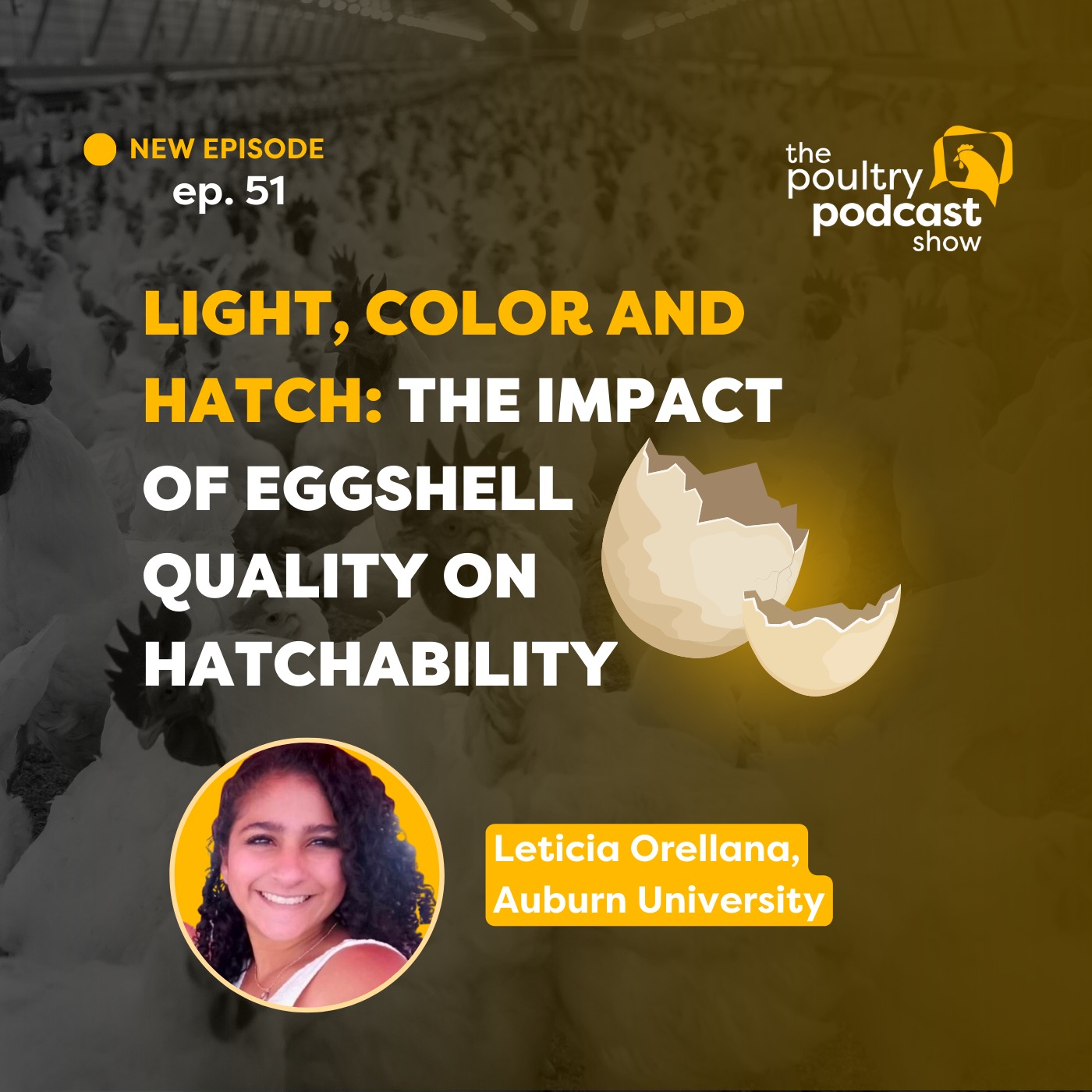 #51 - Light, color and hatch: The impact of eggshell quality on hatchability - Leticia Orellana