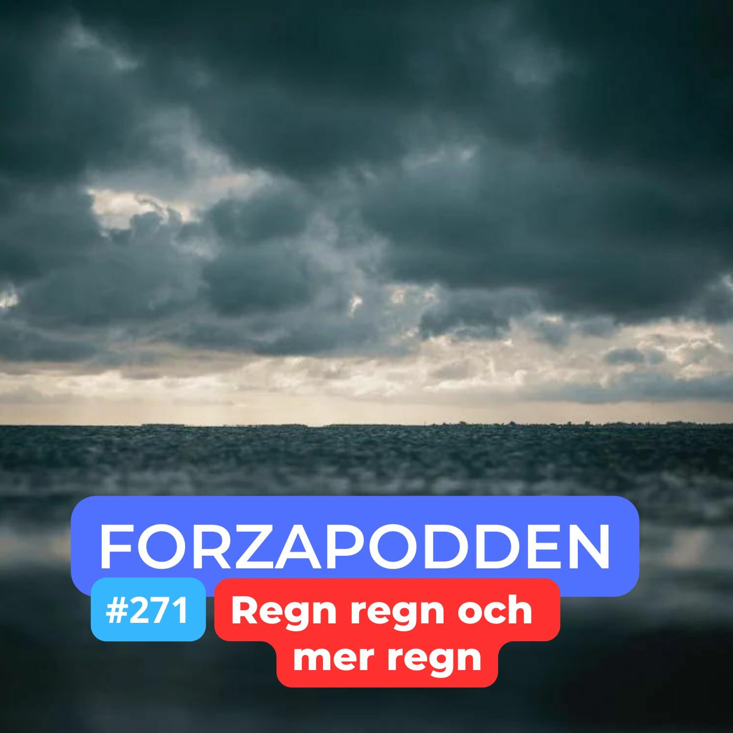 271 - Regn Regn Och Mer Regn