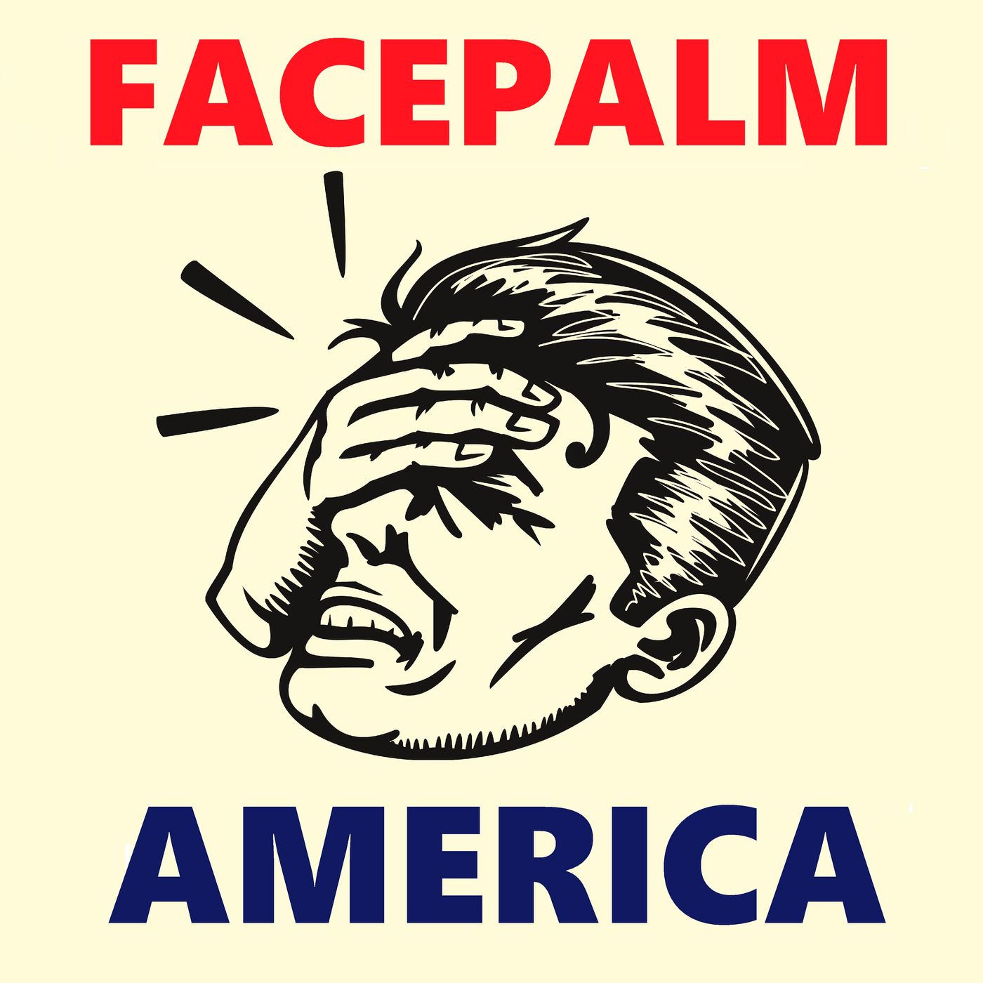 Facepalm America 