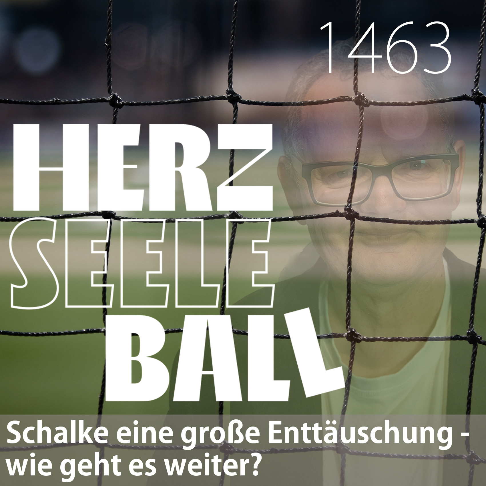 Herz • Seele • Ball • Folge 1463