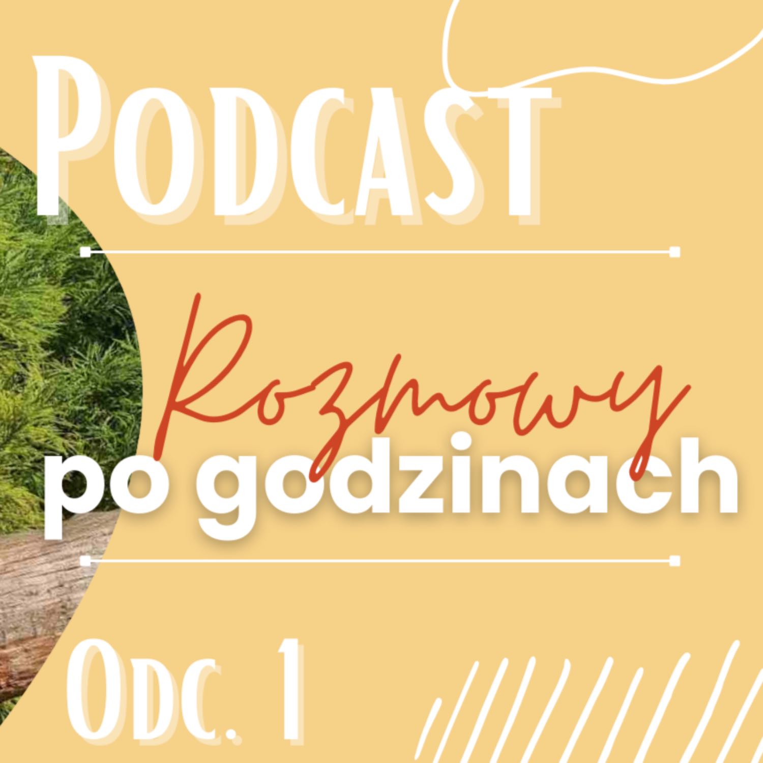 ⁣PODCAST *rozmowy po godzinach* Odc.1 Poznajcie mojego męża + skąd się znamy