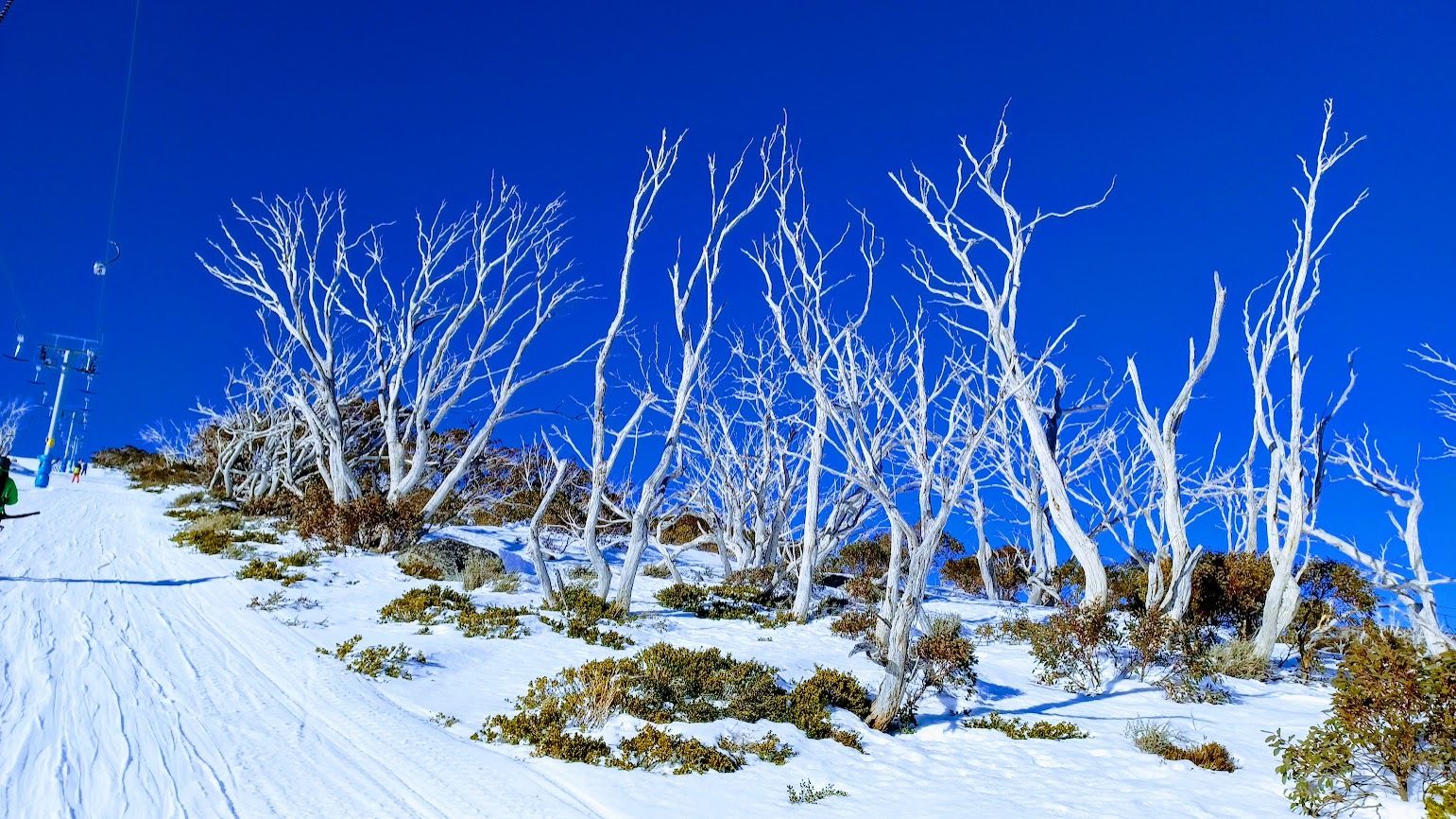 182: Perisher & Thredbo, Australia