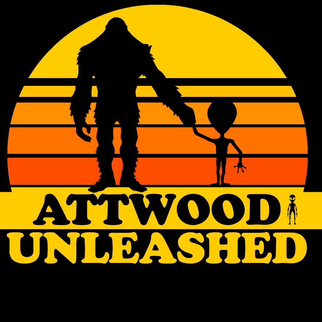 ⁣Human Trafficking, Zayna Iman & Pig Butchering Romance Scams: Attwood Unleashed 109