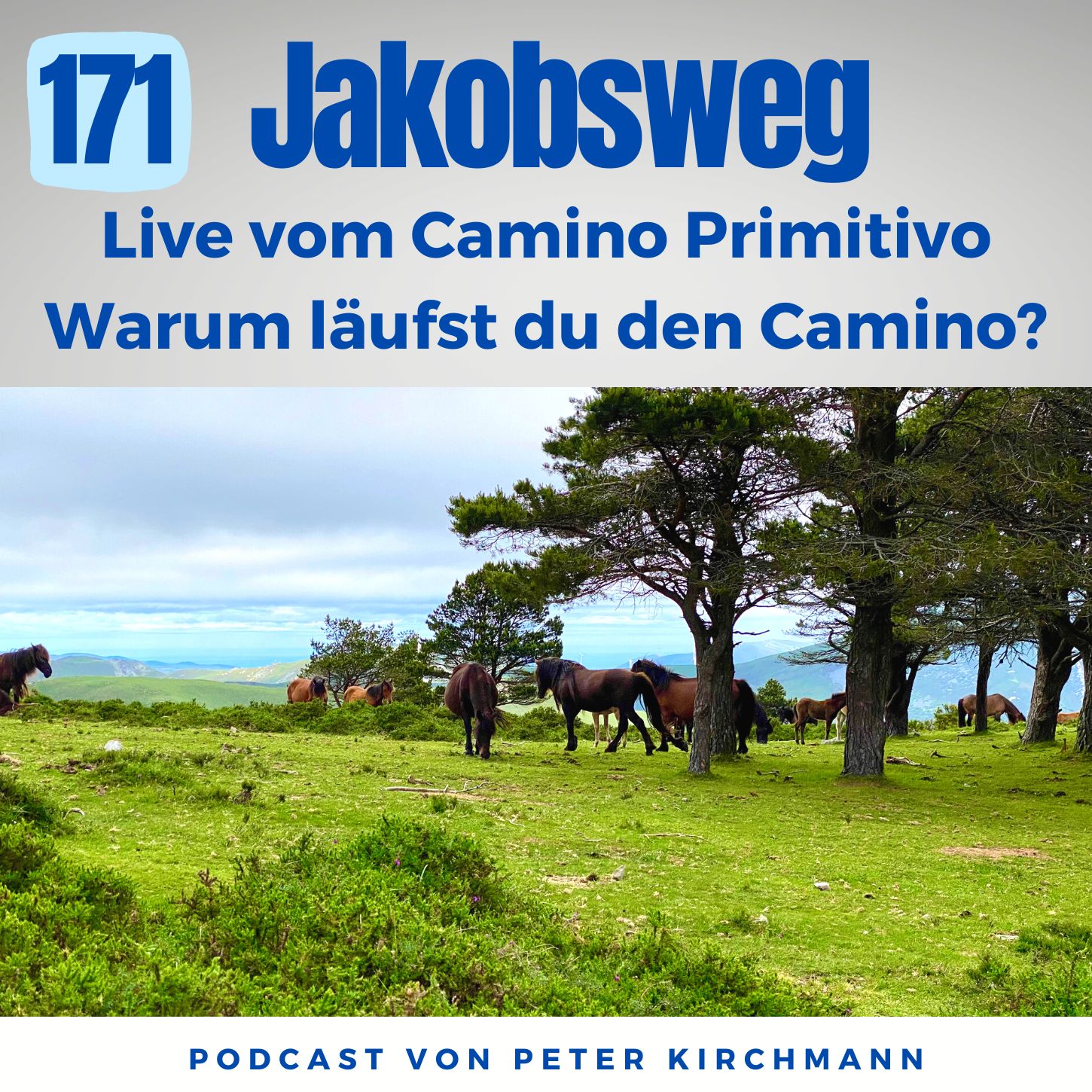 Camino Primitivo unplugged: Unser erster Abend in der Pilgerherberge, warum läufst du den Jakobsweg? (171)