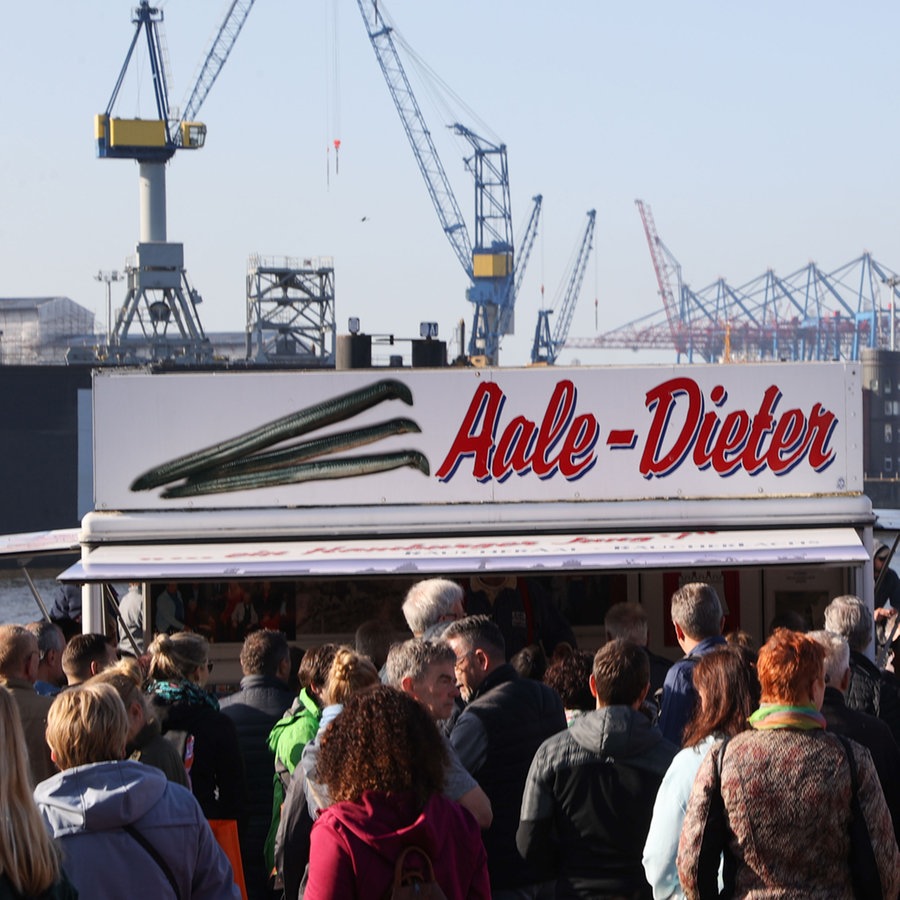 ⁣Hamburger Hafenkonzert: Unterwegs auf dem Hamburger Fischmarkt