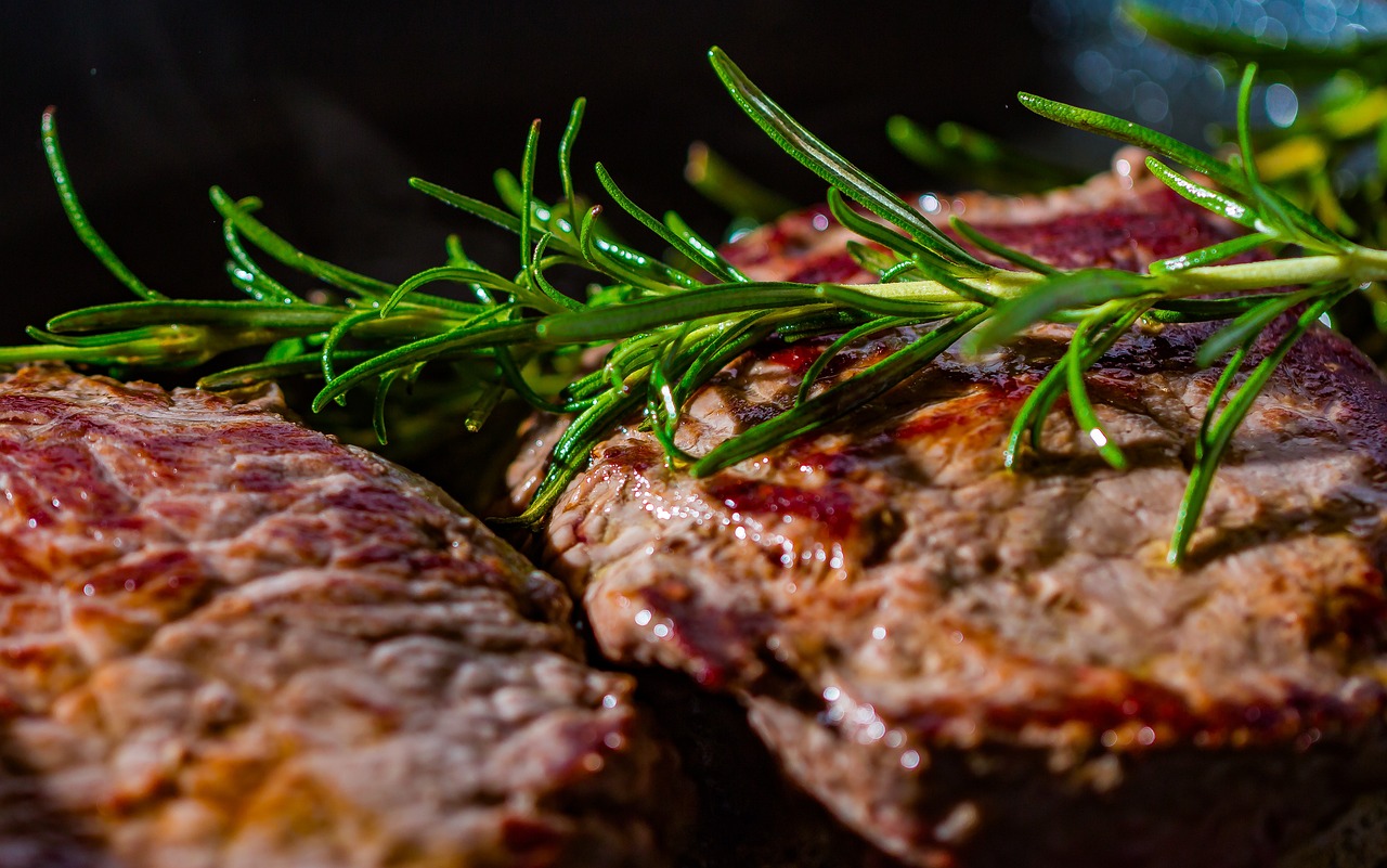 künstliche Steaks – Schmackhaft… oder bleibt das Essen im Halse stecken?