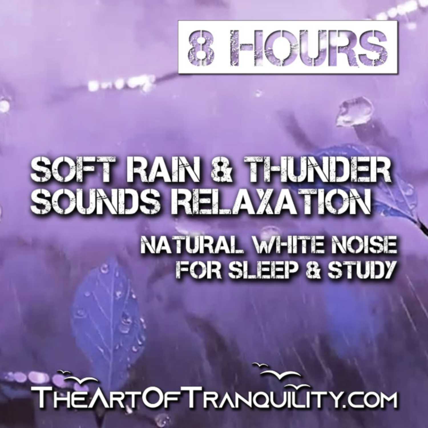 SOFT RAIN & THUNDER SOUNDS FOR RELAXATION AND SLEEP | Calm, Focus, Deep Sleep | 8 Hrs