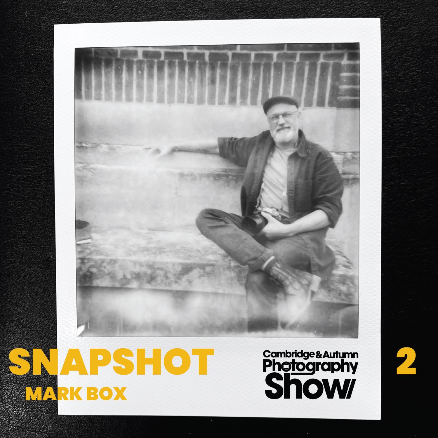 Snapshot 2 - Mark Box