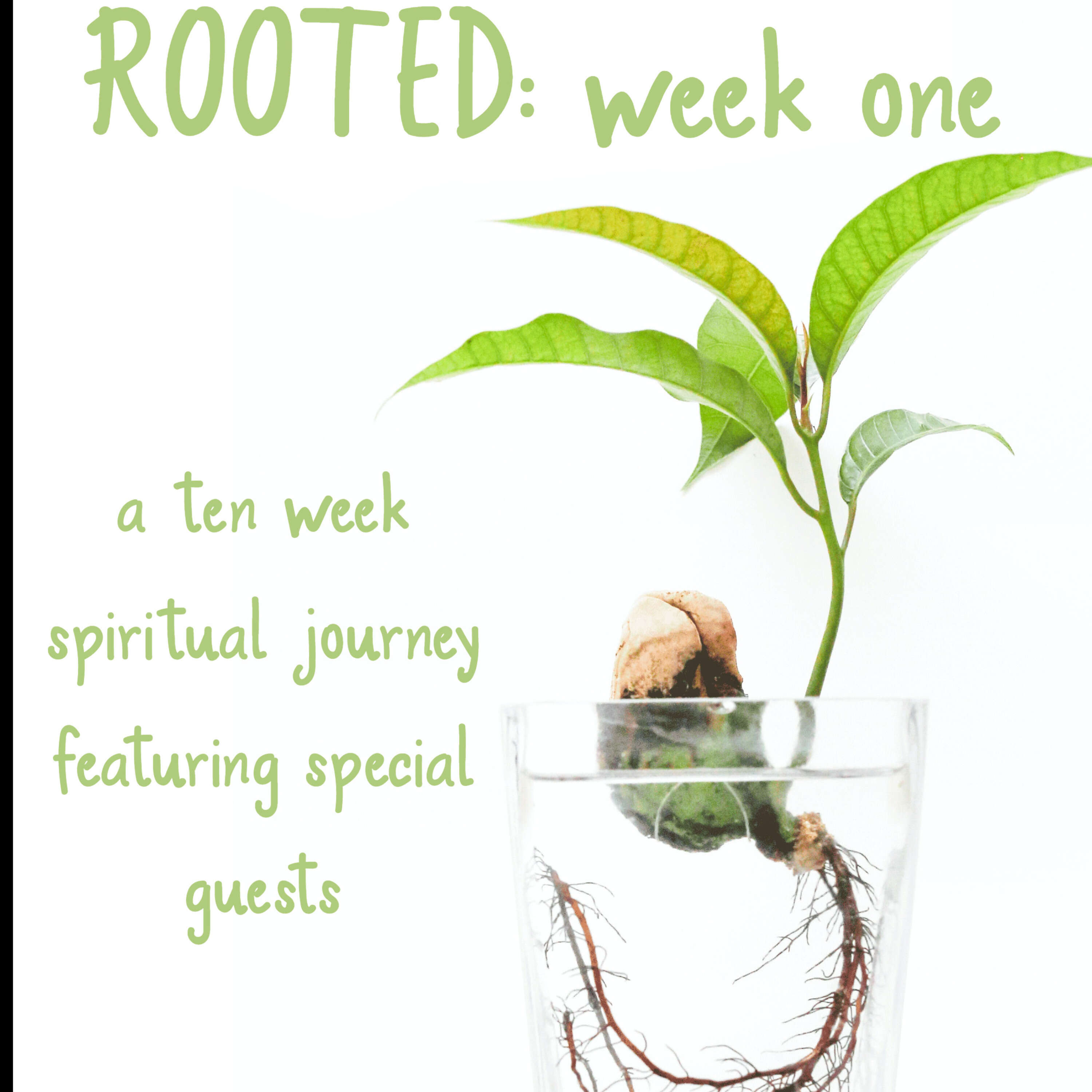 Rooted Week 1 "What is Rooted?" with Tom