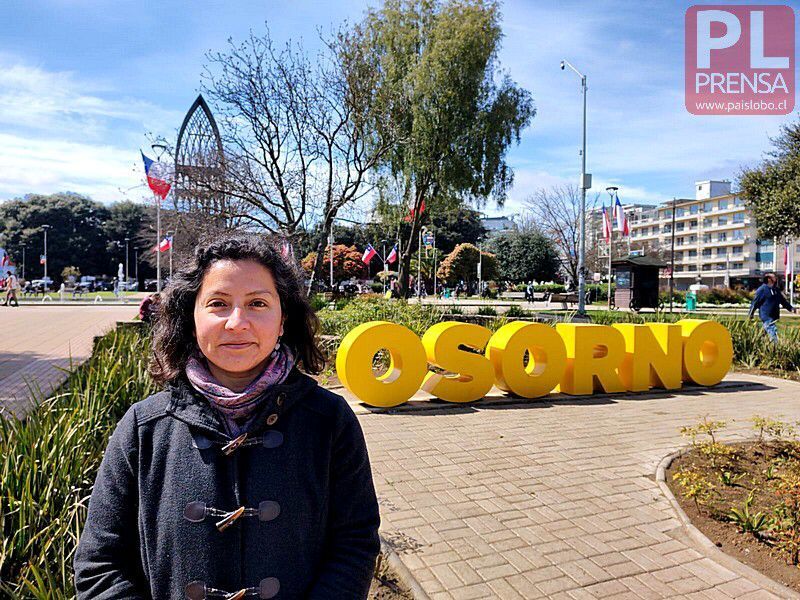 ⁣Cambio de calefactores en Osorno con la Seremi de Medio Ambiente