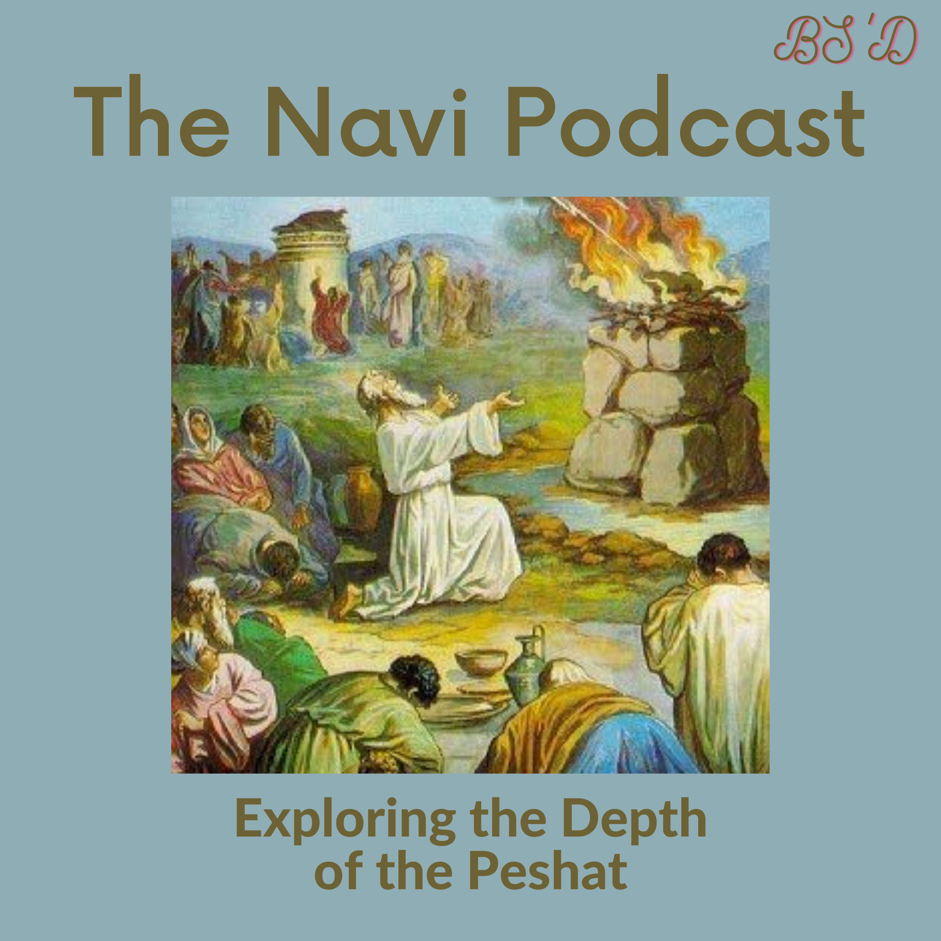 The Navi Podcast 