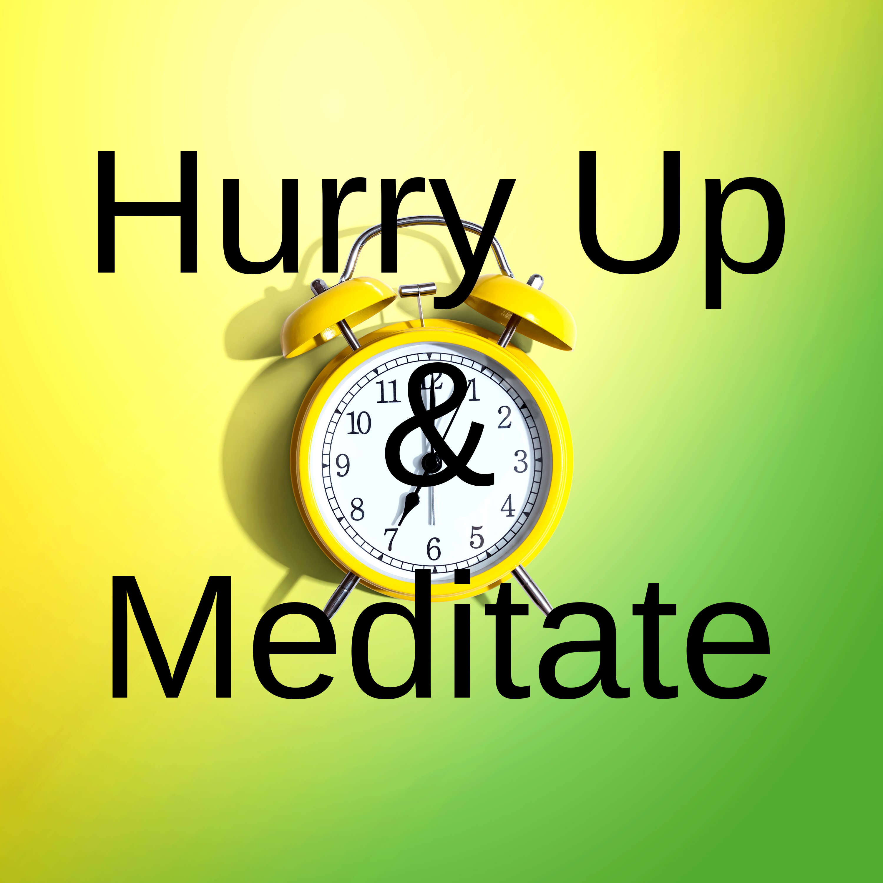 Hurry Up And Meditate 