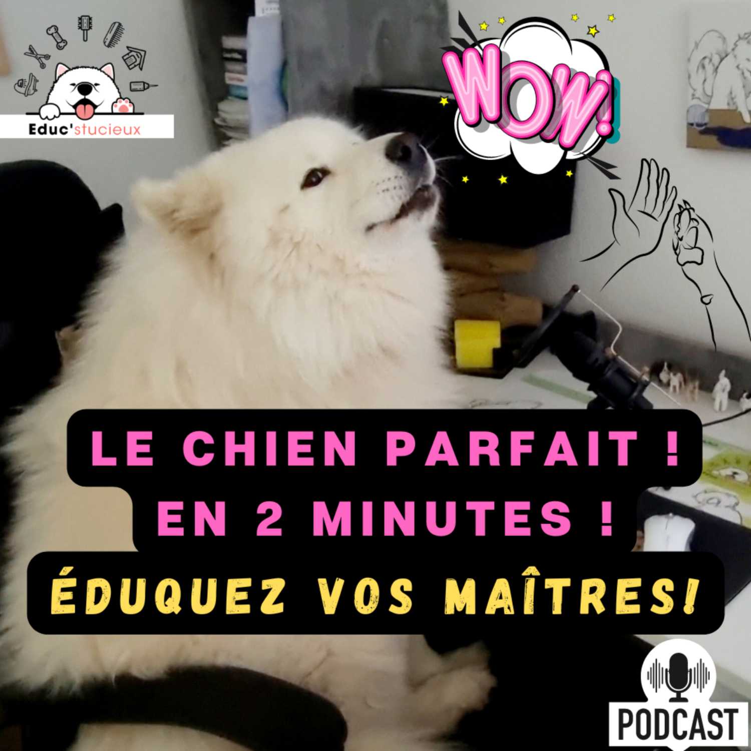 Devenir le chien parfait en 2 minutes ! 