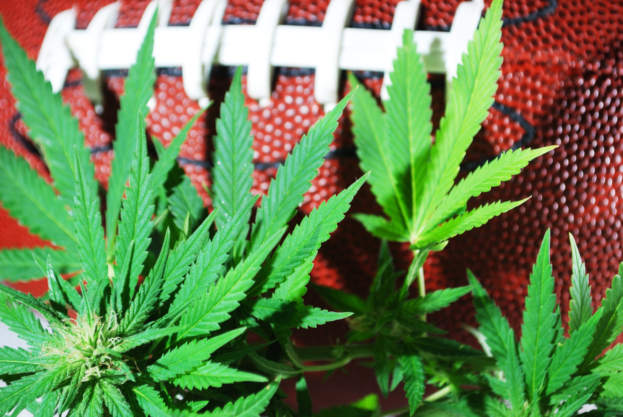 ⁣Should NFL players be allowed to use cannabis for pain?