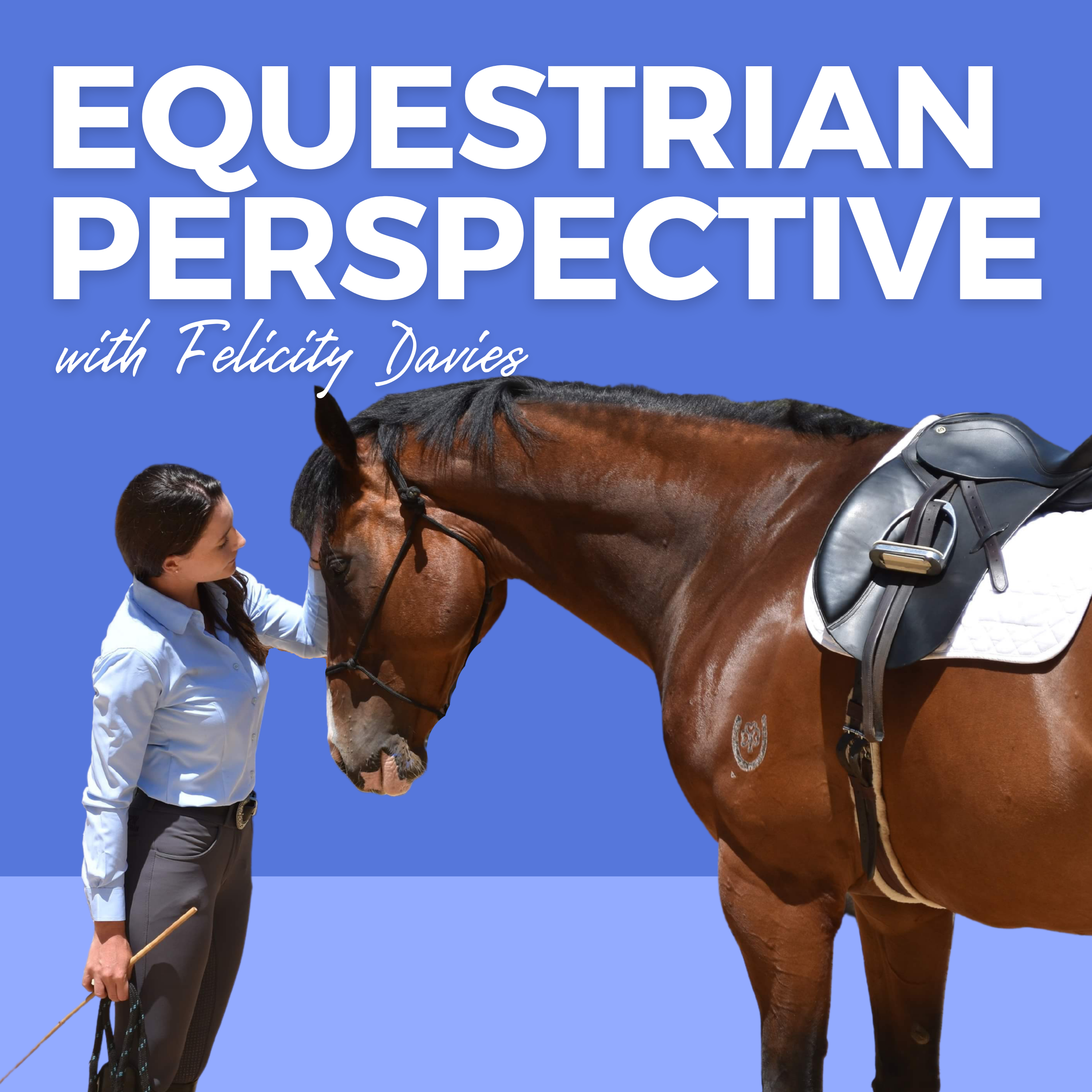 Equestrian Perspective 