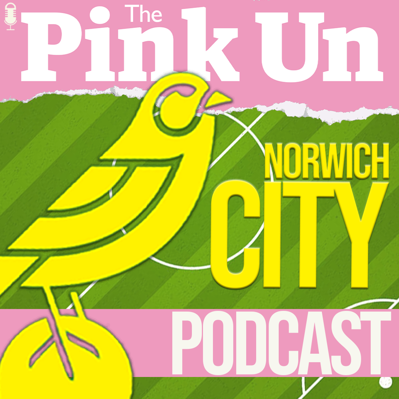 The PinkUn Norwich City Podcast 