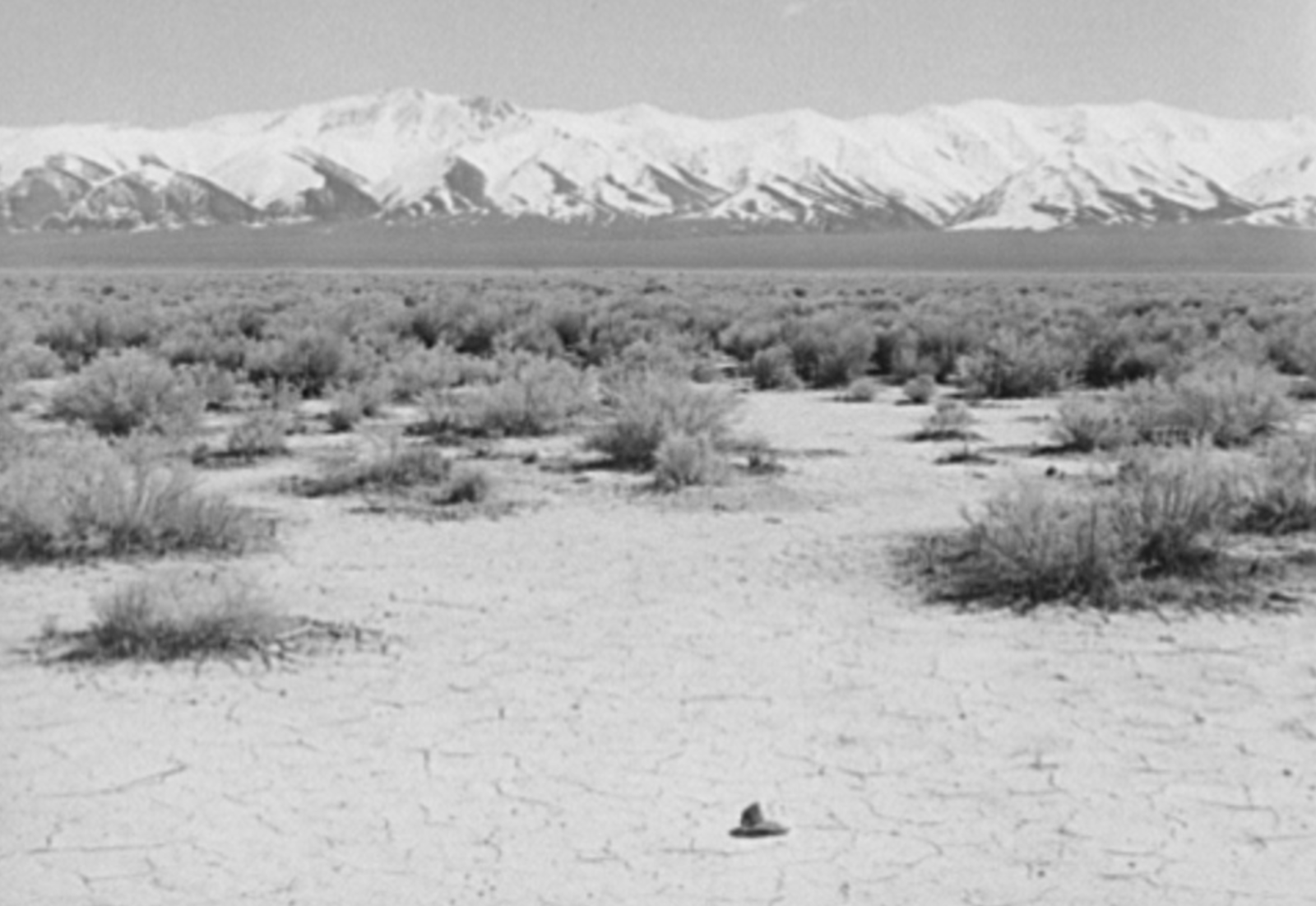 #PacificWatch: Burning Man drowns in a sea of mud; Big Kahuna 'worked' by the Pacific waves.@JCBliss