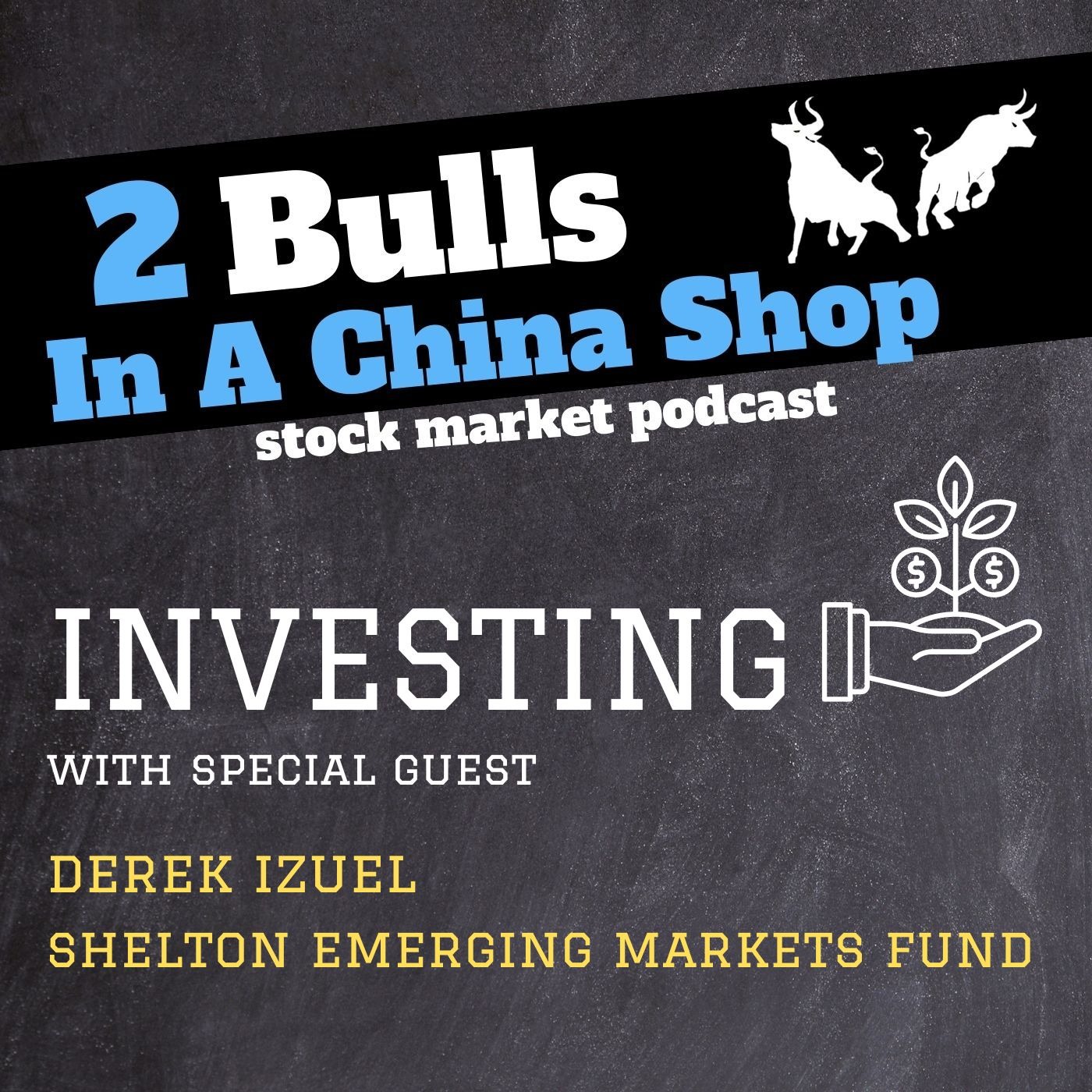 Emerging Markets w/ Derek Izuel: CIO of Shelton Capital Management