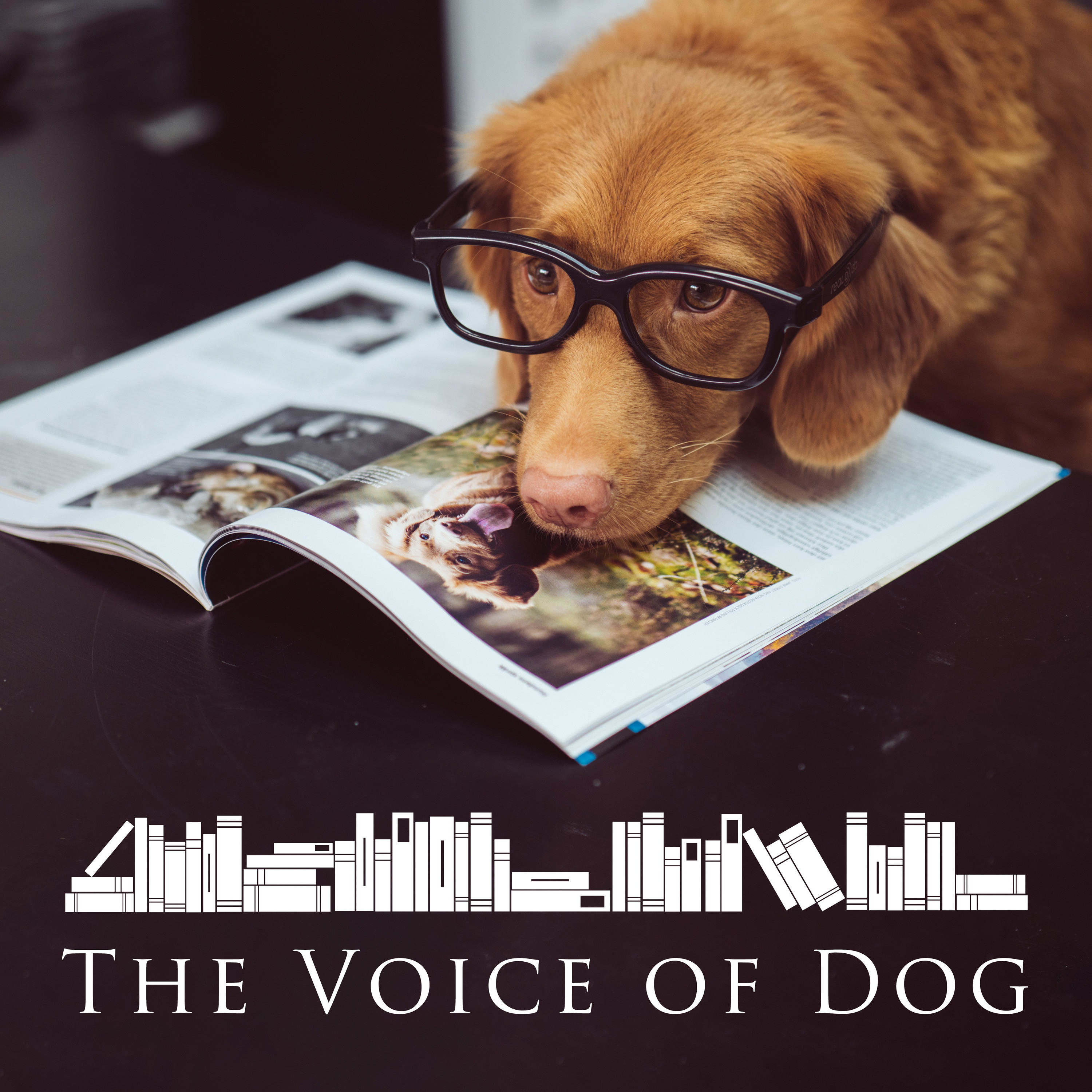 The Voice of Dog 