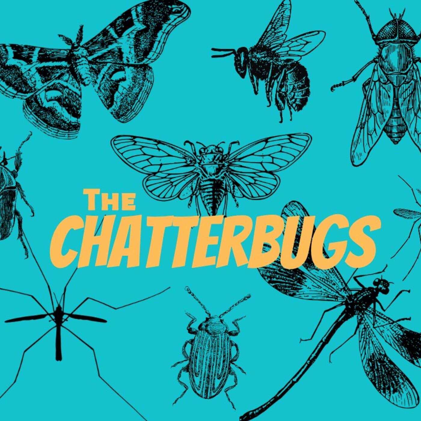 The Chatterbugs 