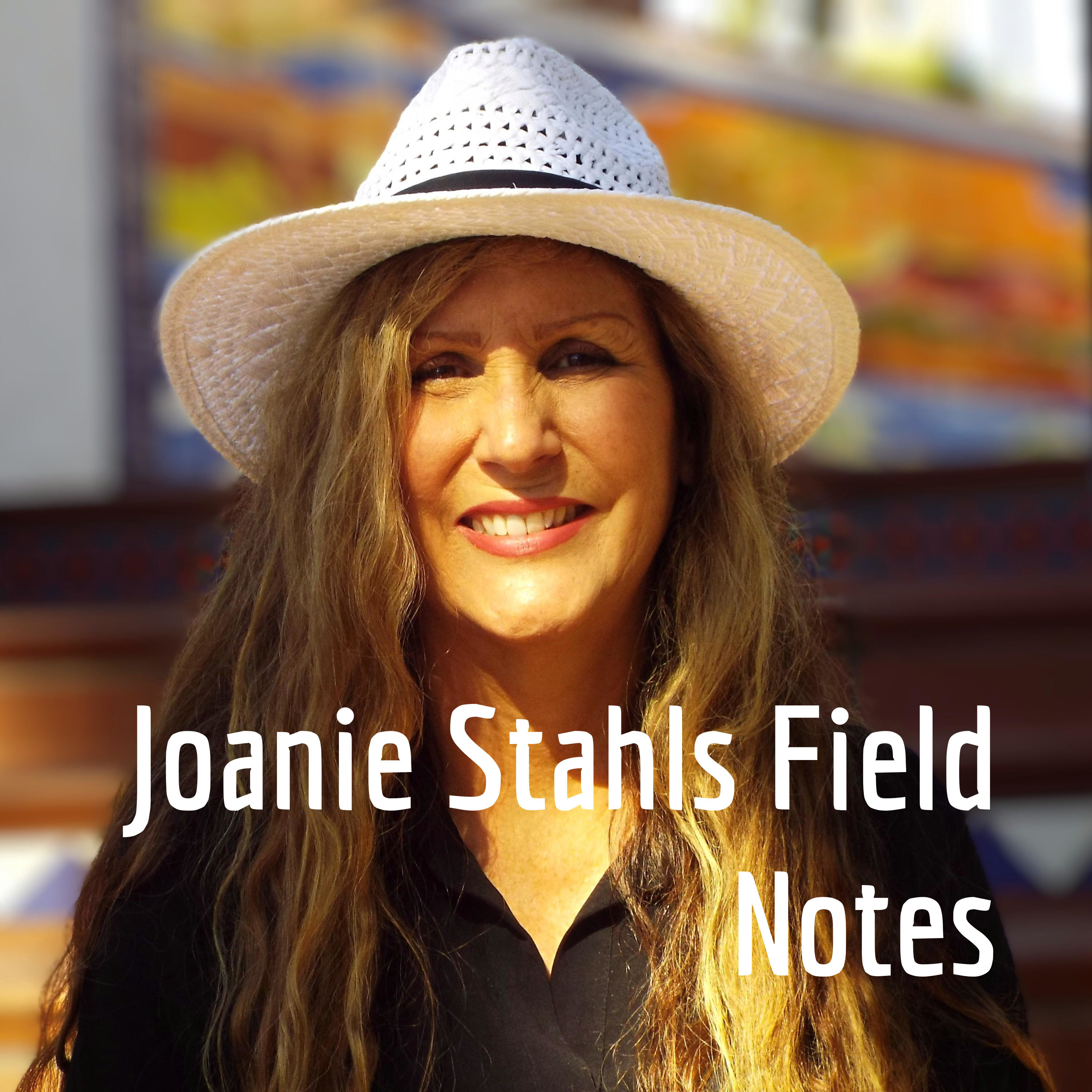 Joanie Stahls Field Notes 