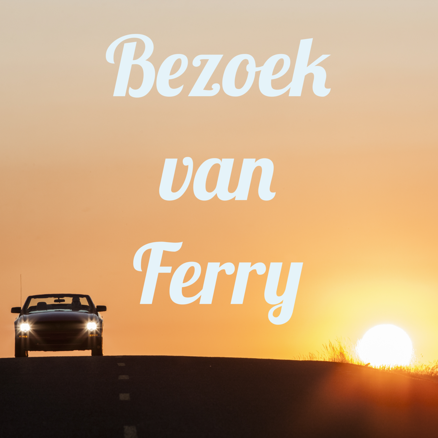 Bezoek van Ferry 