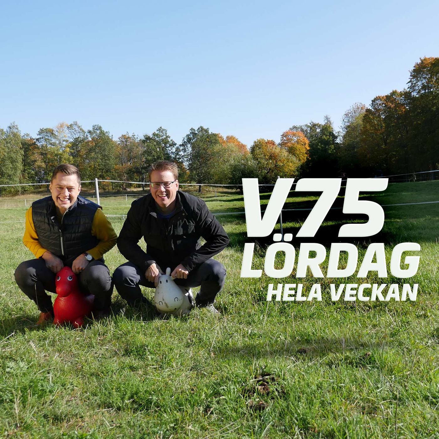 ⁣207: Lördag 23 september: Färjestad V75