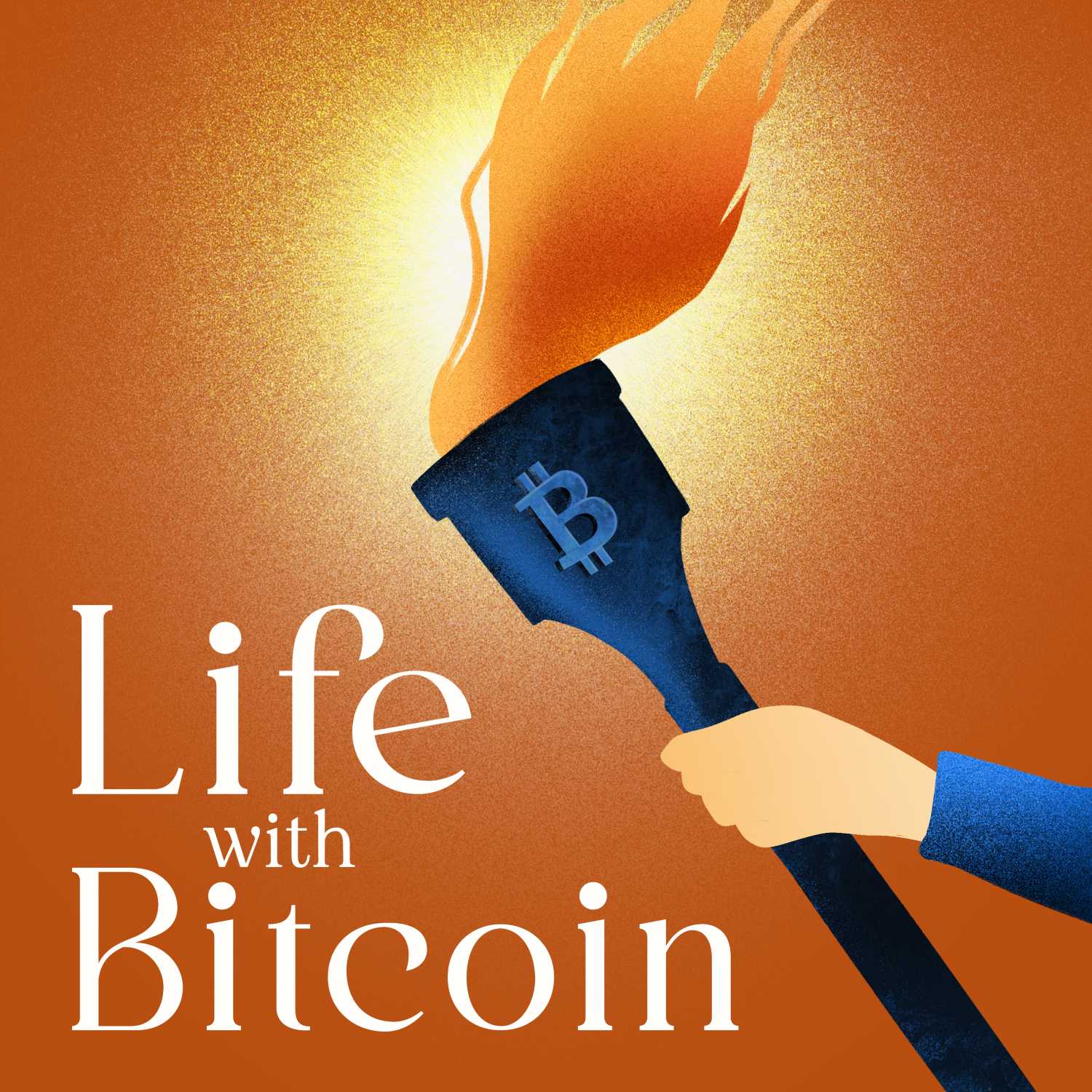 Life with Bitcoin 