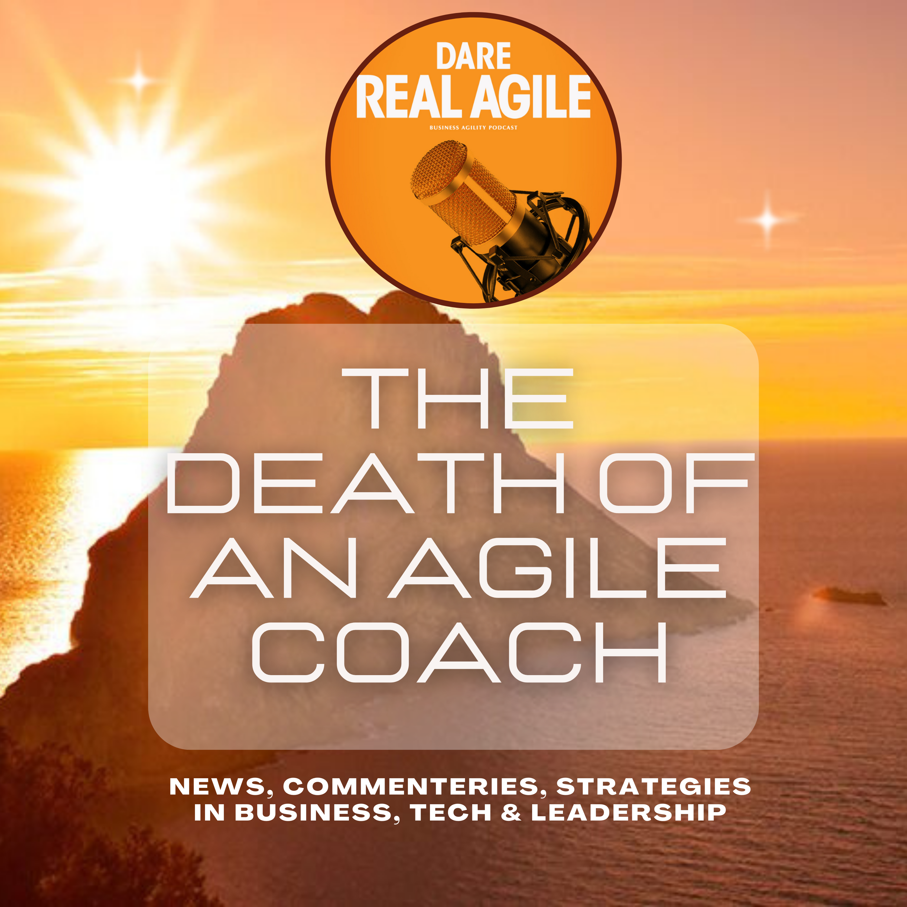 ⁣The Death of an Agile Coach