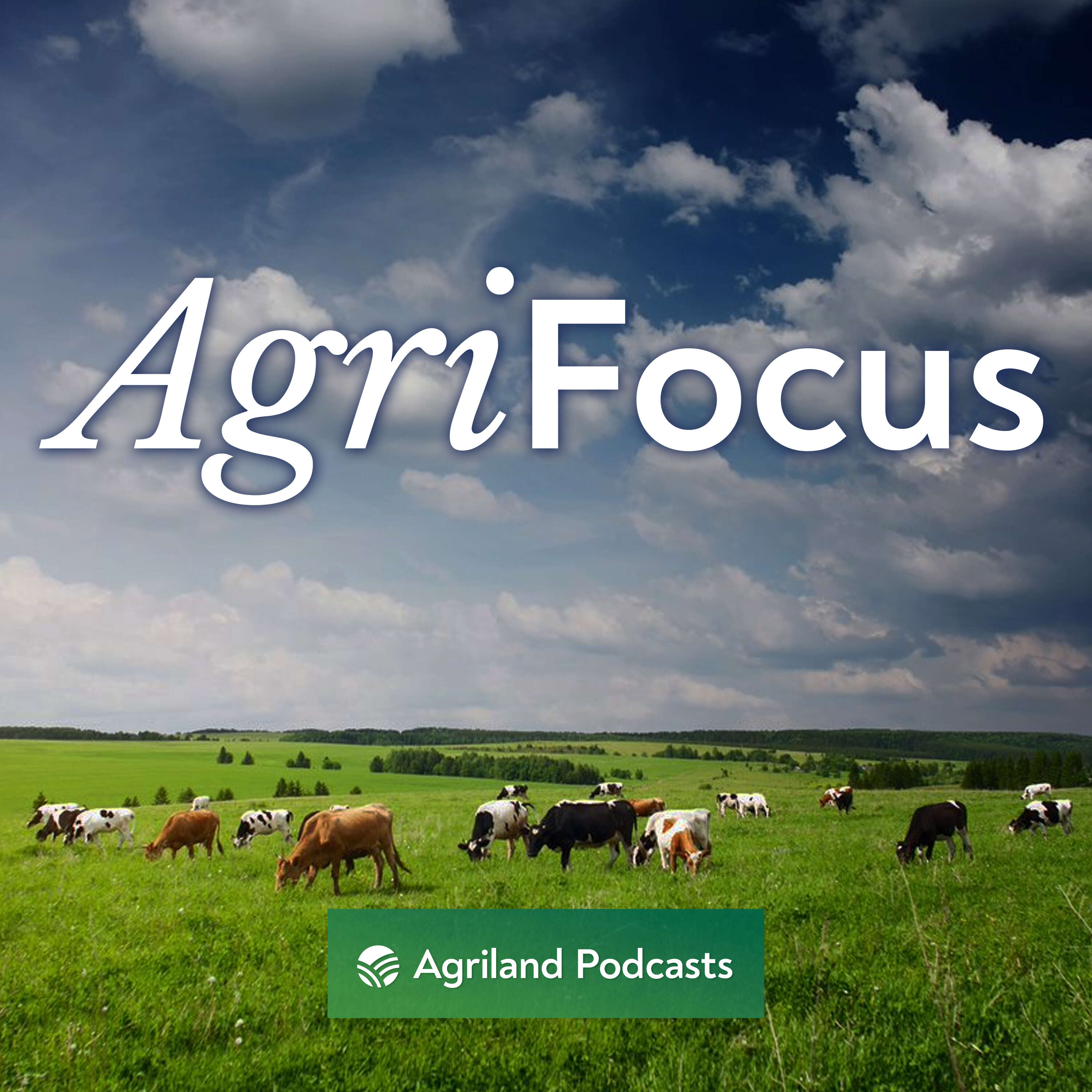 ⁣Agri-Focus: Nitrates derogation, politics and the president at Ploughing 2023