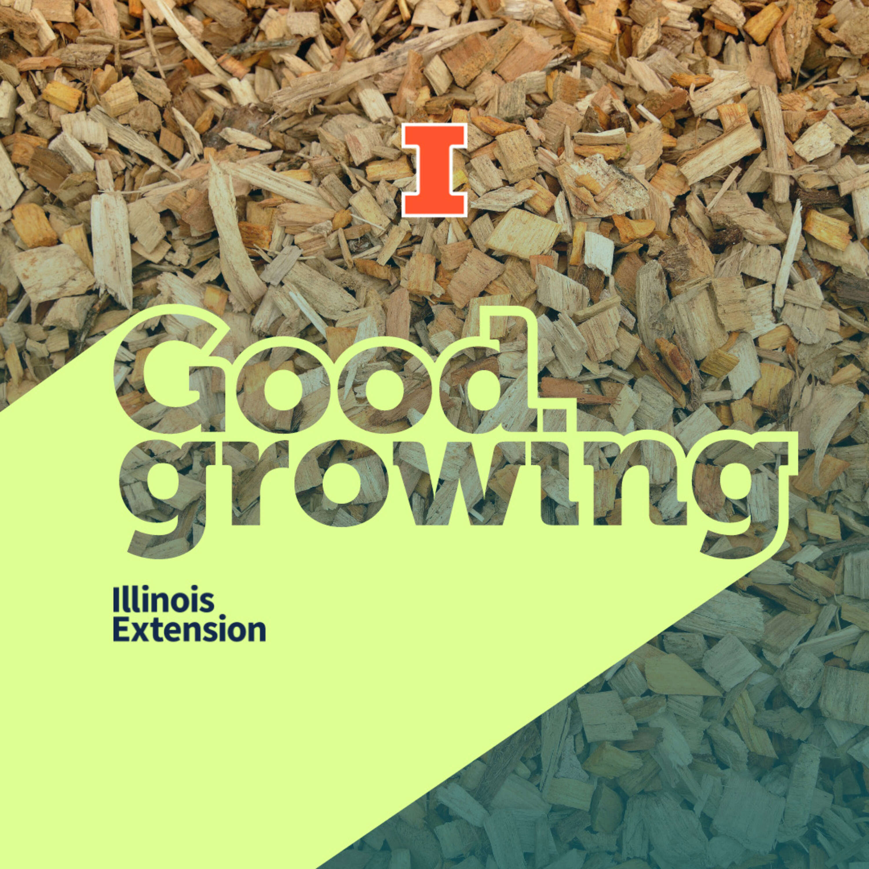 ⁣Ep. 149 All About Mulch: Lay it on thick and keep it chunky | #GoodGrowing