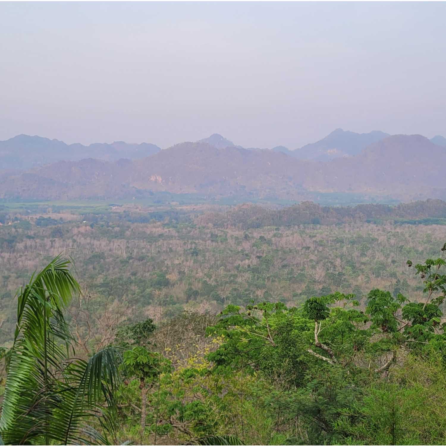 Fat Kyle Shit's the Bed