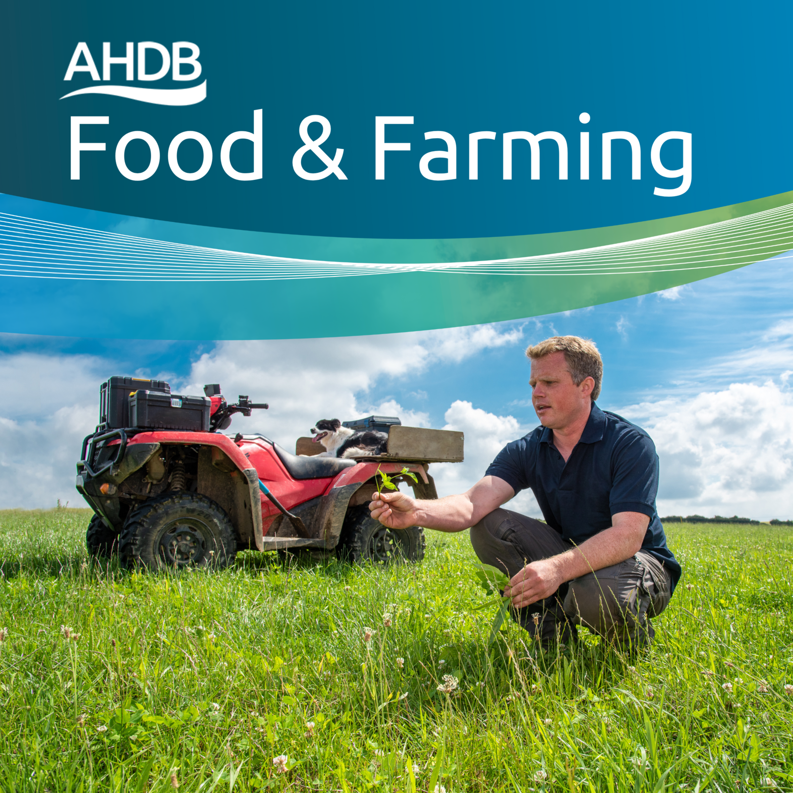 AHDB Food & Farming 