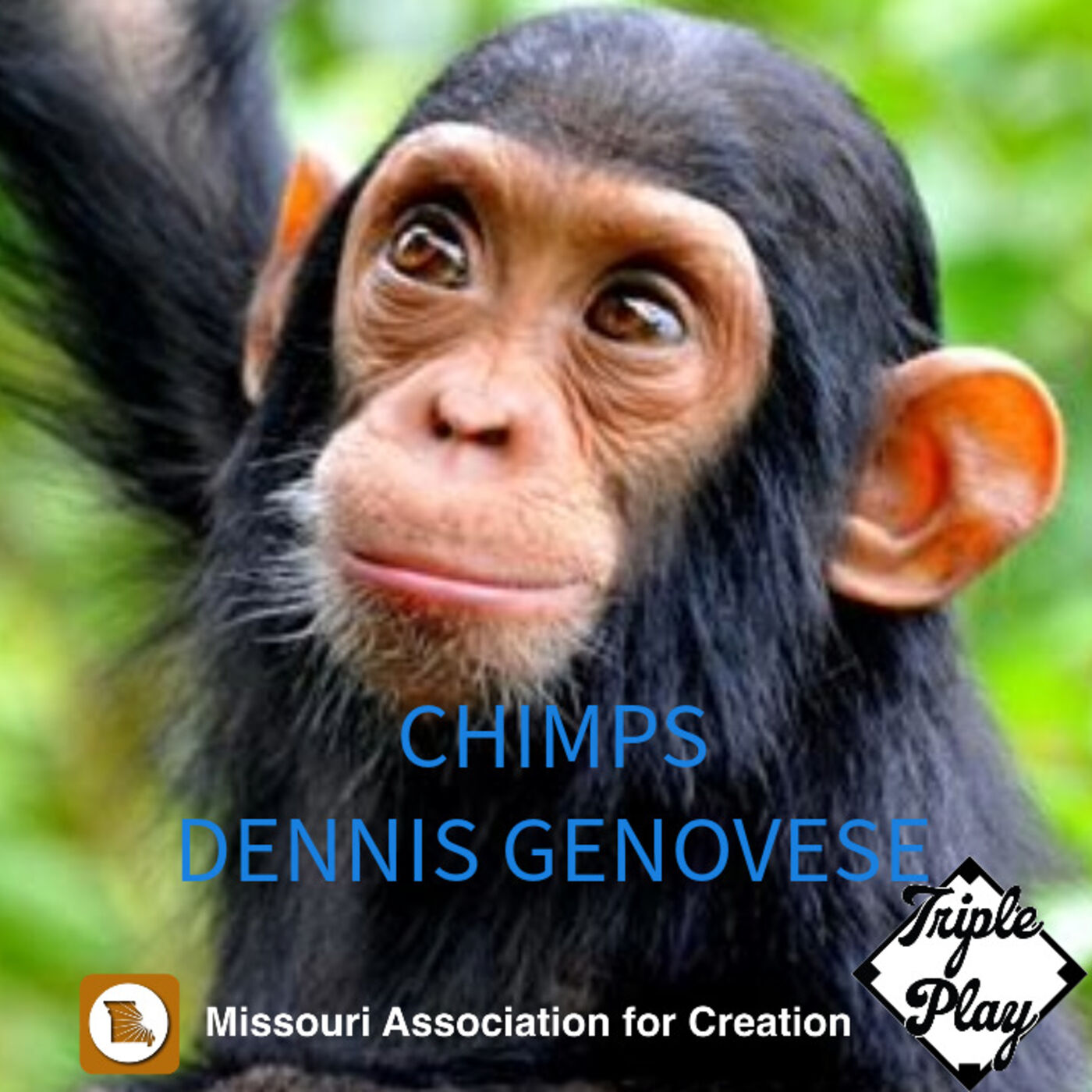 DENNIS GENOVESE MISSOURI ASSOCIATION FOR CREATION CHIMPS