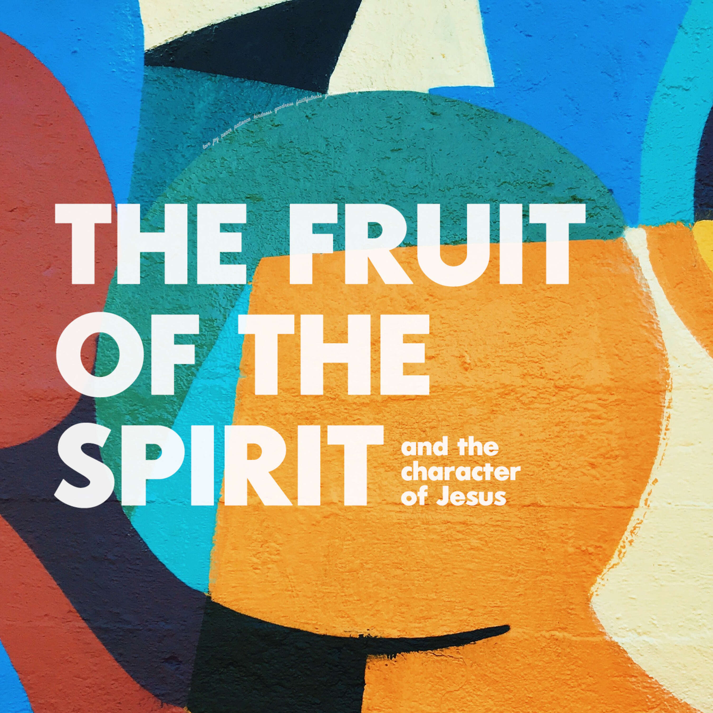 ⁣The Fruit of the Spirit: The Gentleness of Jesus | The Rev'd Adam Lowe