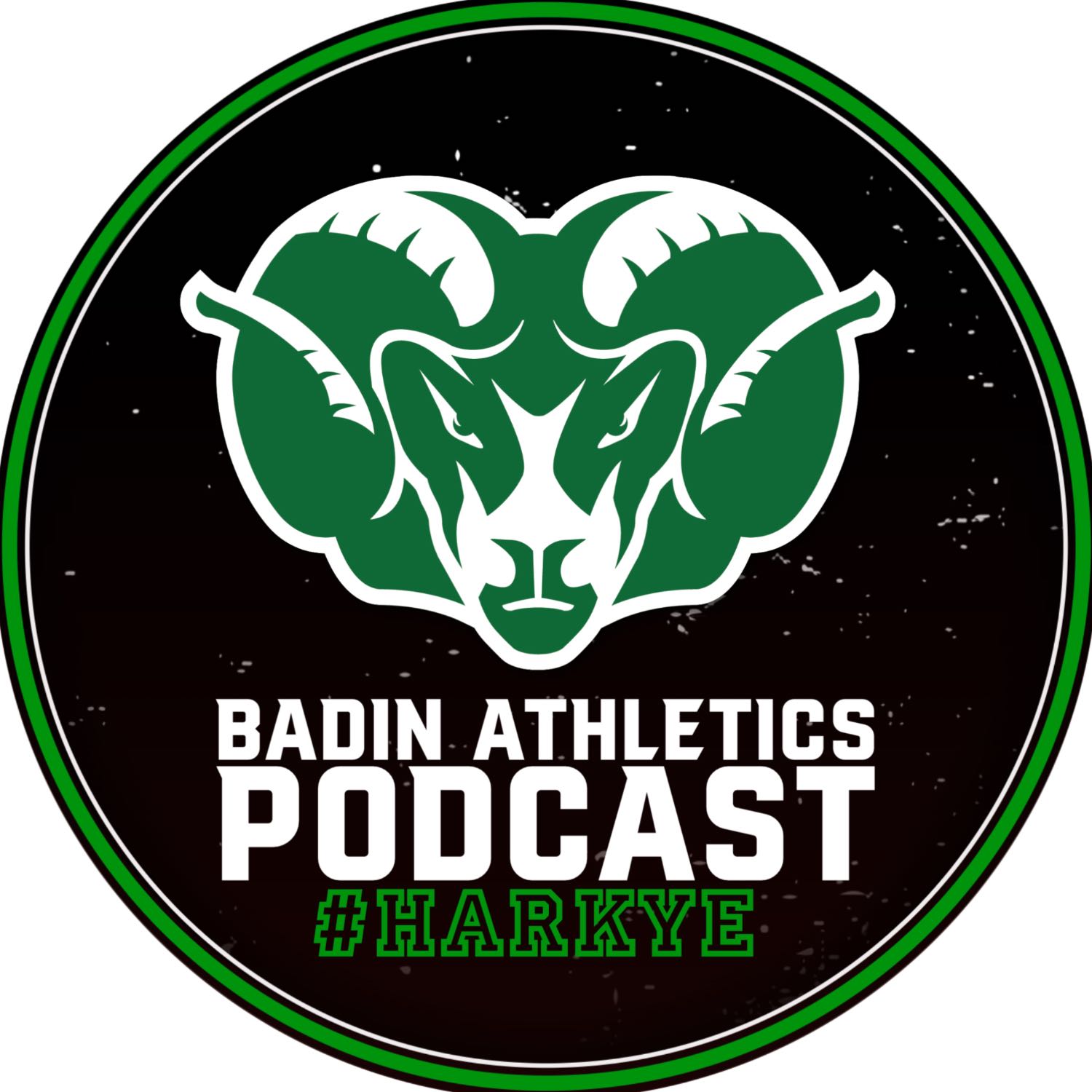 Badin Athletics 