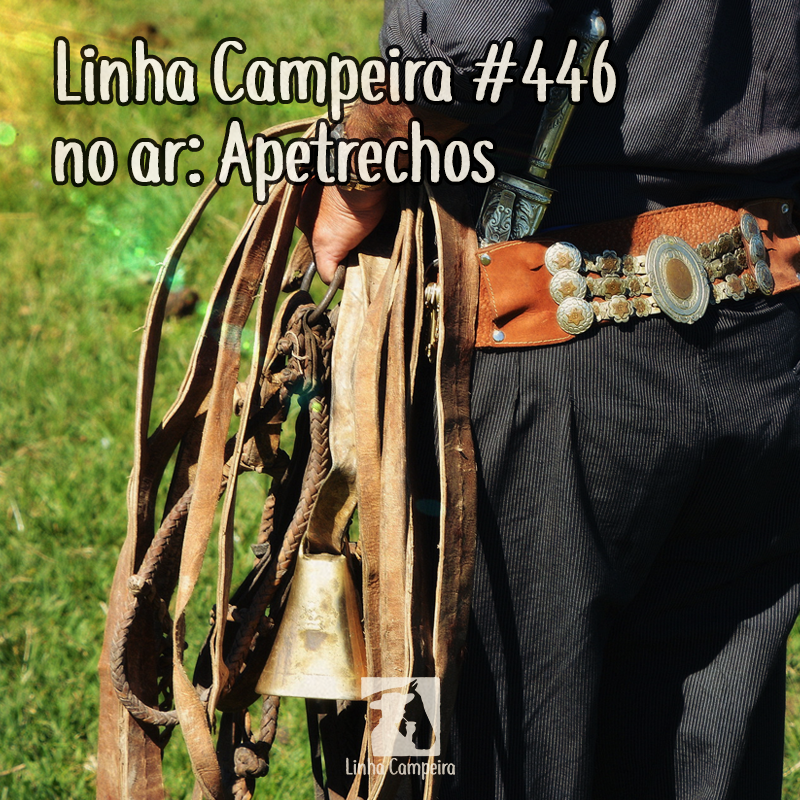 ⁣Programa #446 - Apetrechos