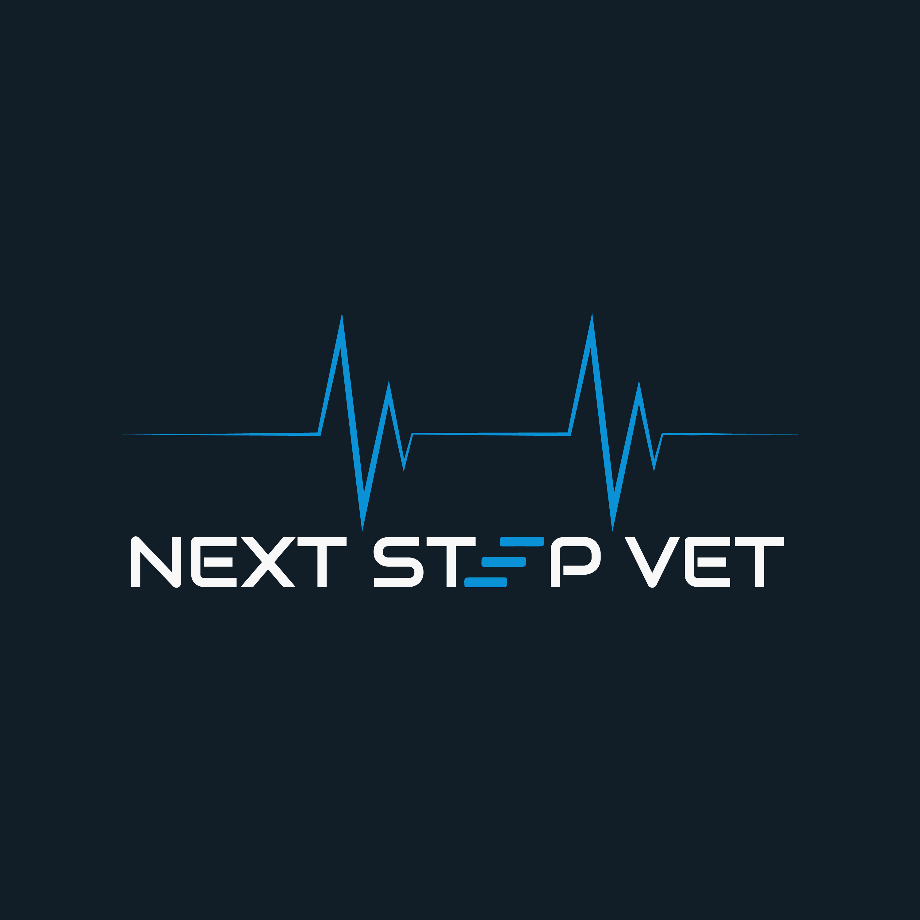 Next Step Vet: How to Create a Meaningful Career 